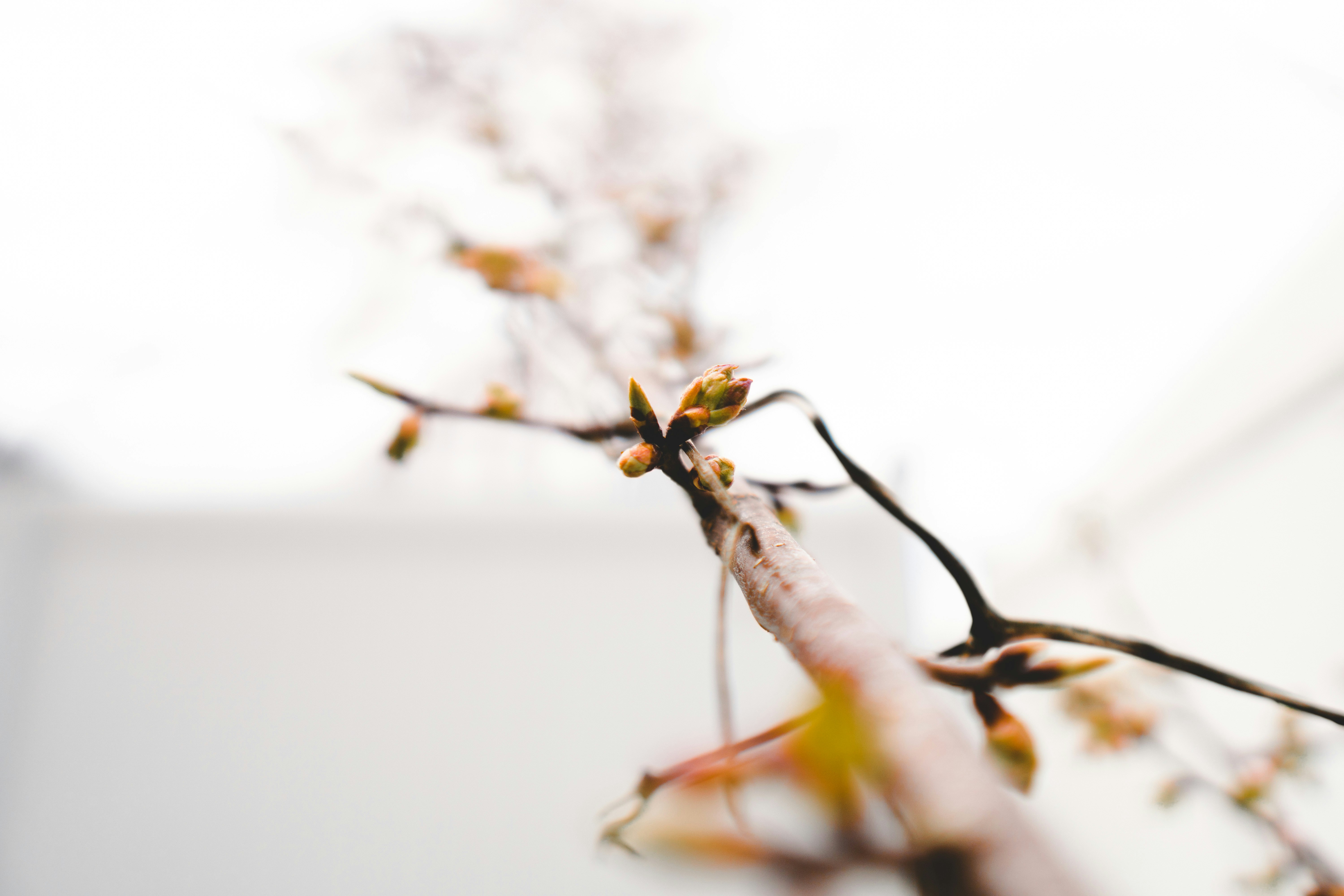 Photo by emmanuelphaeton