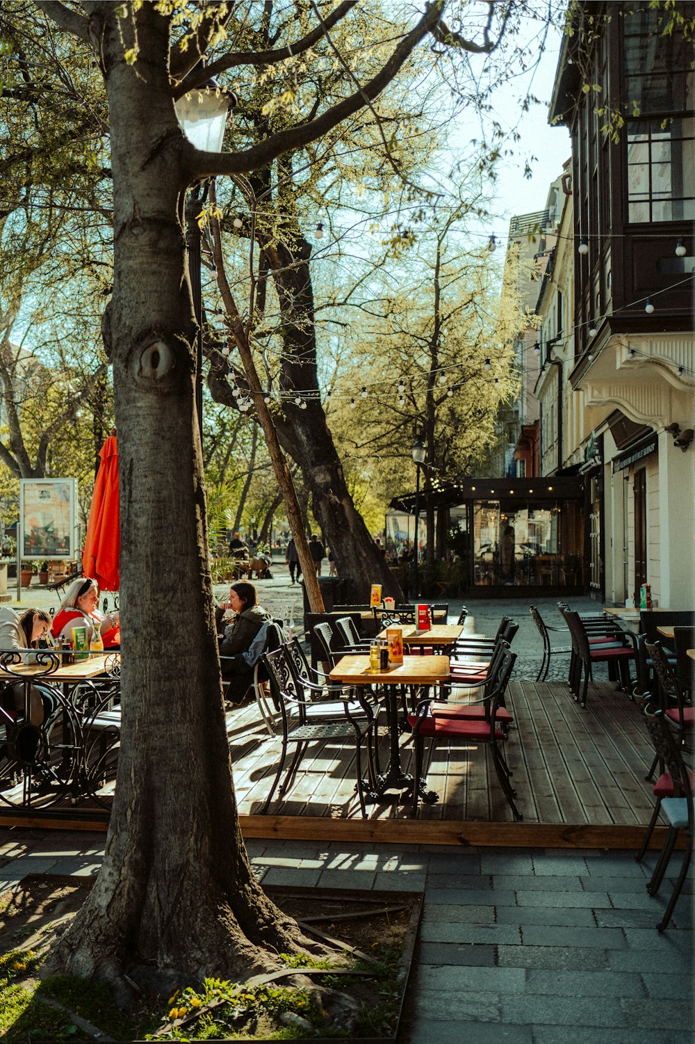 a group of people sitting at tables under a tree