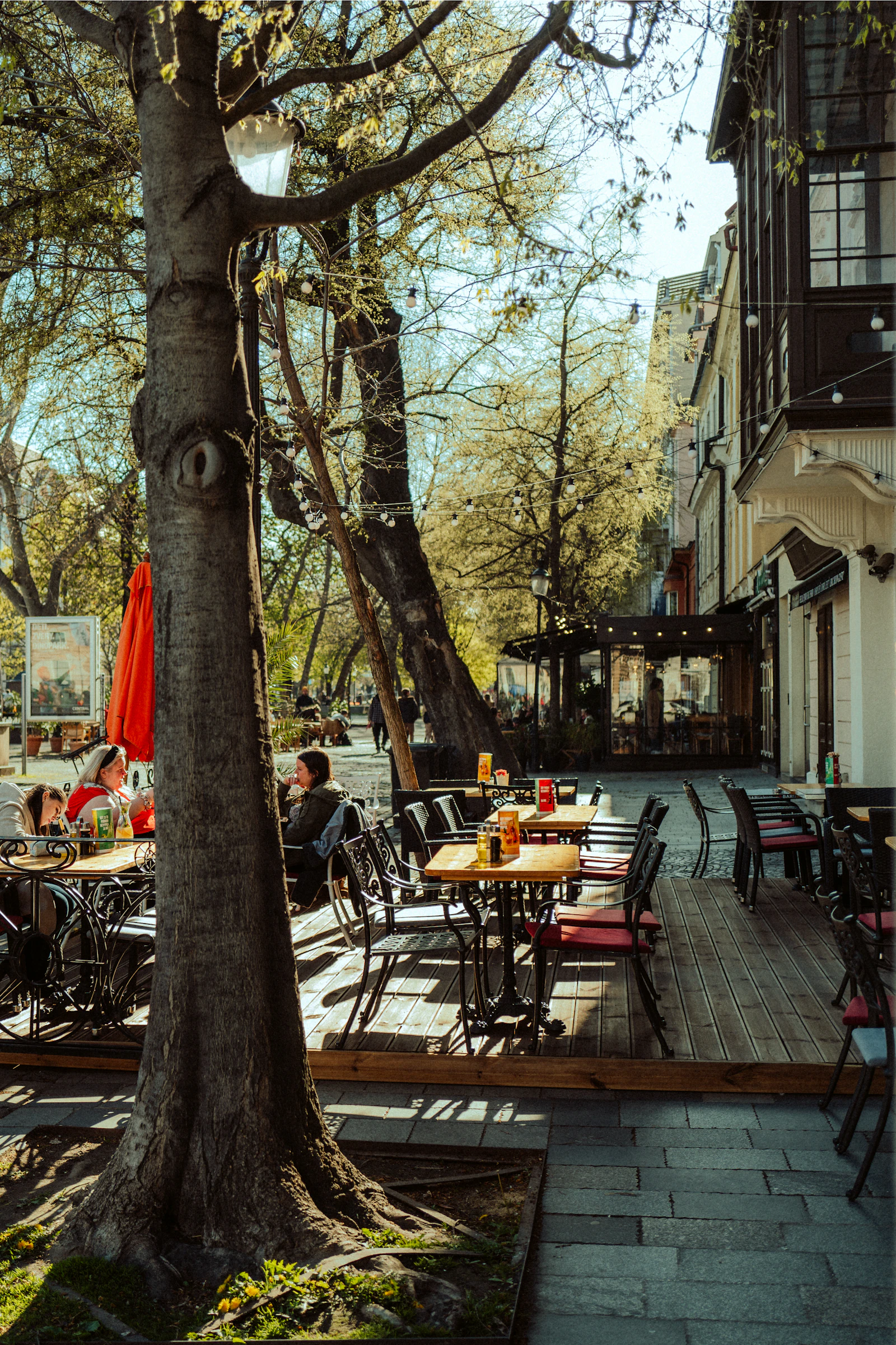 Illustrative photograph for what to eat in bratislava beyond halušky; it does not document a named venue or current service.