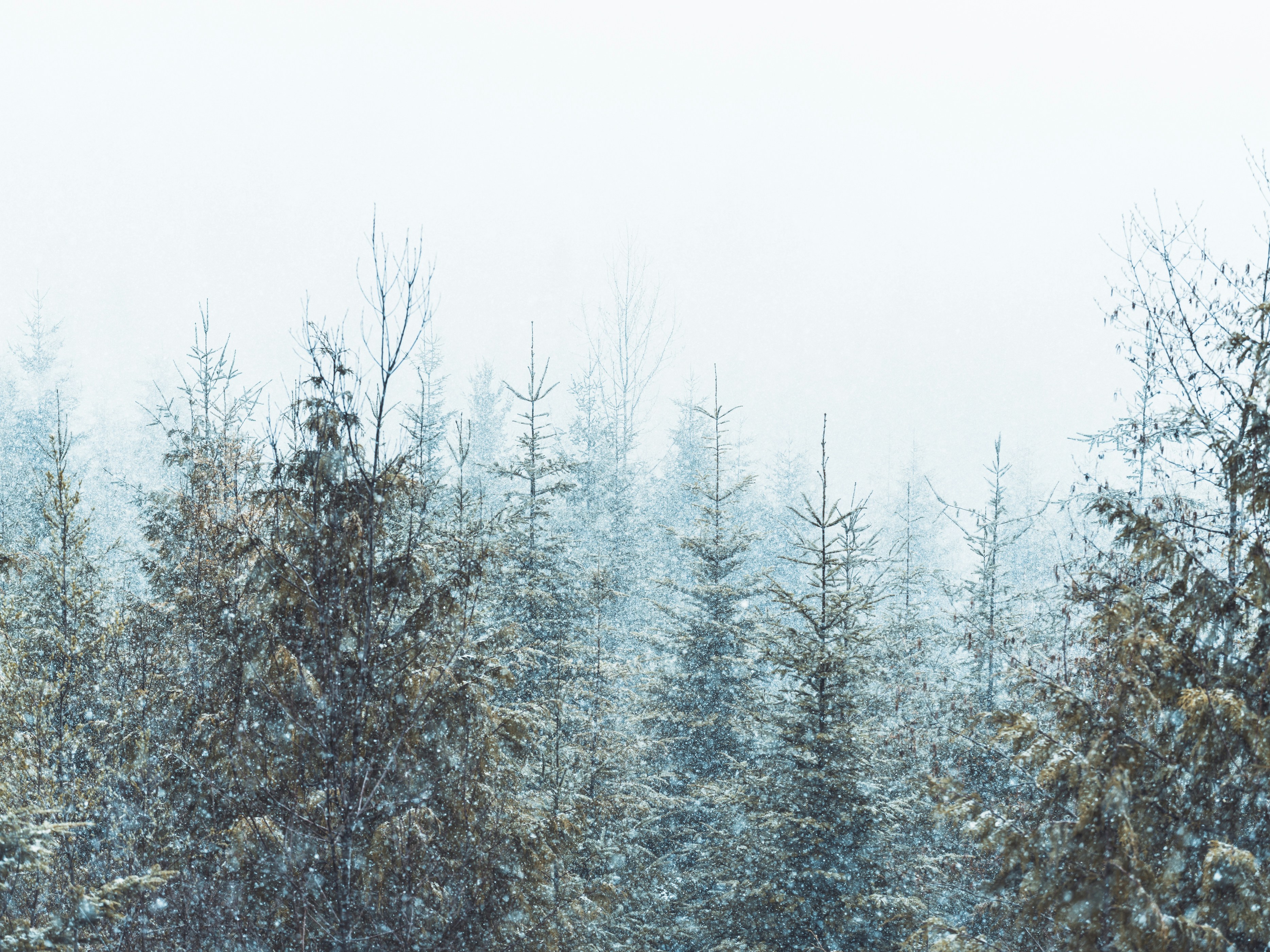 Photo by kierinsightarchives