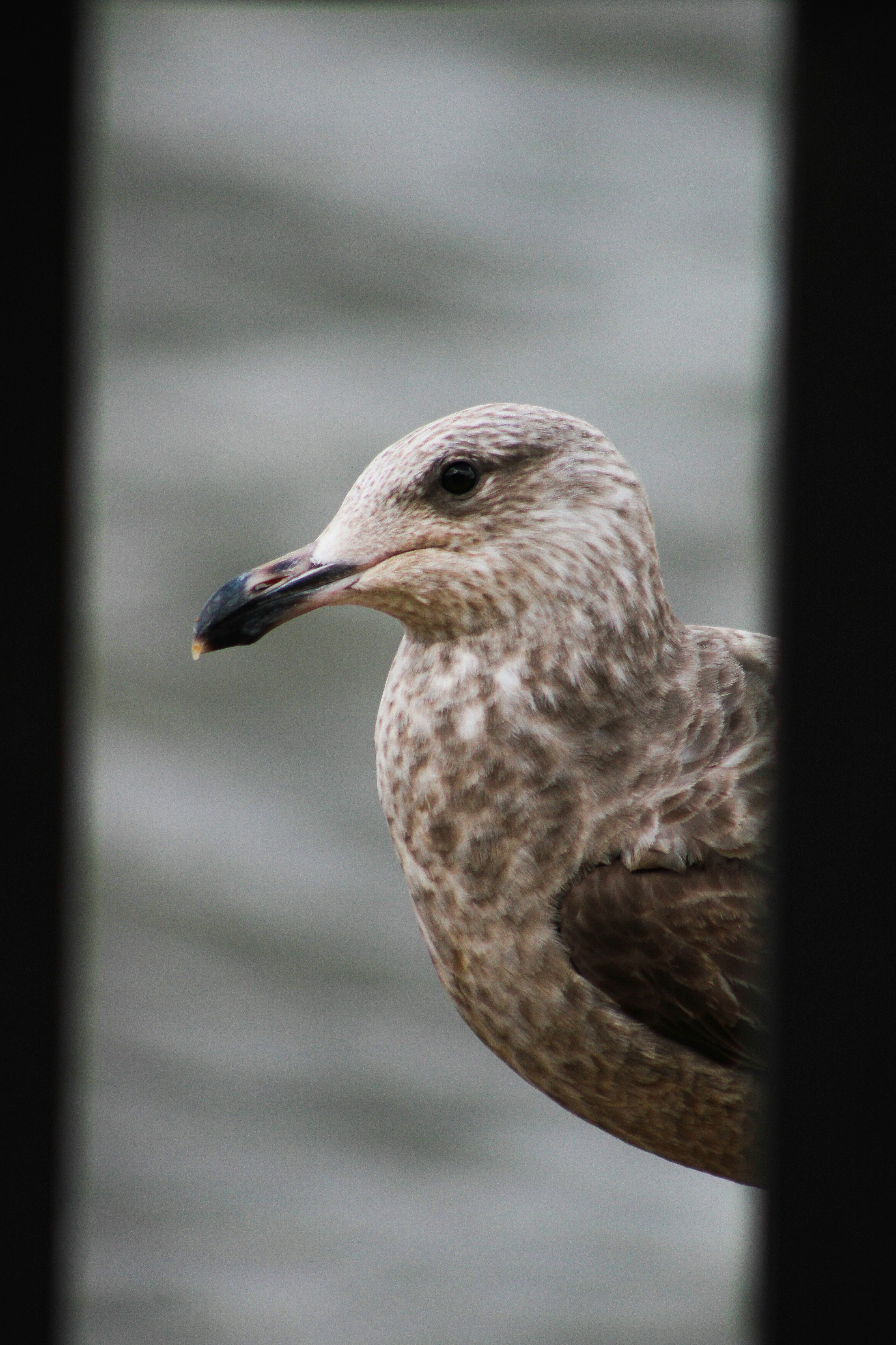 Photo by gabriel_meinert