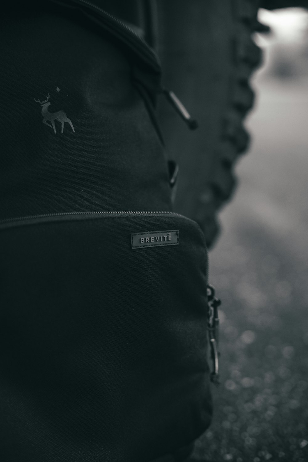 a black and white photo of a backpack