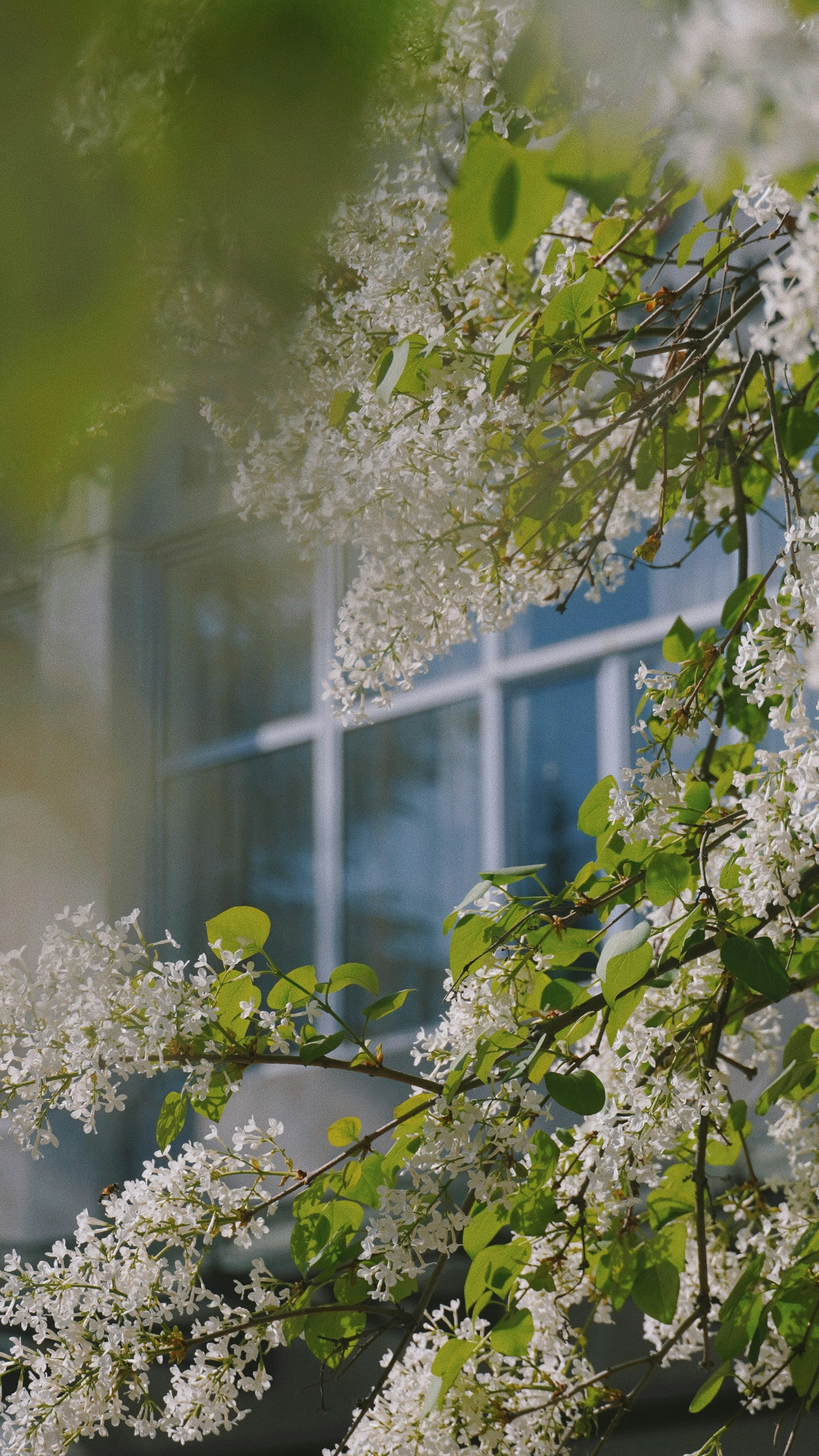 Photo by fenmeihandai