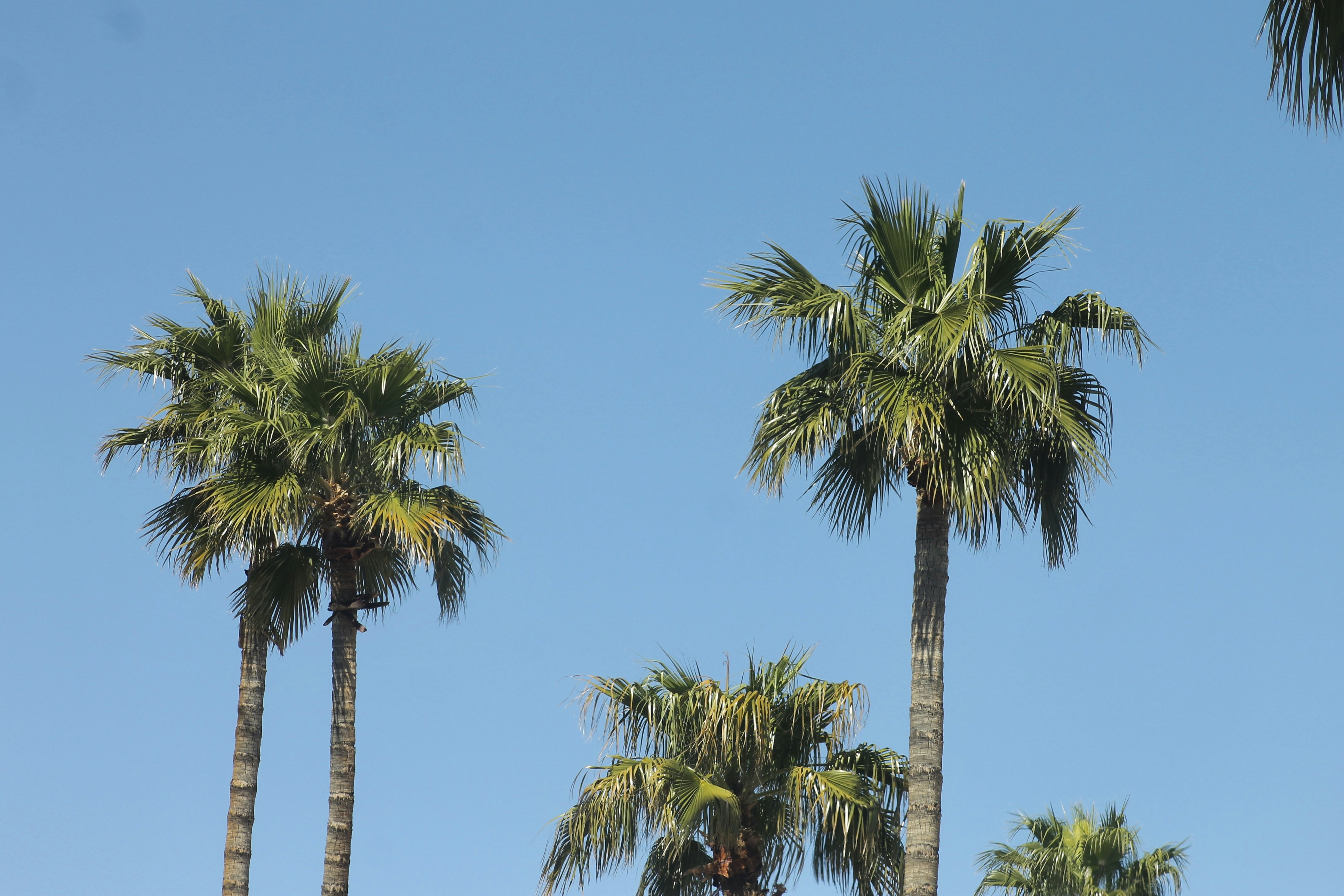 Photo by nicolecavelli