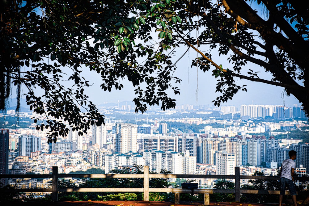 a person sitting on a bench overlooking a city