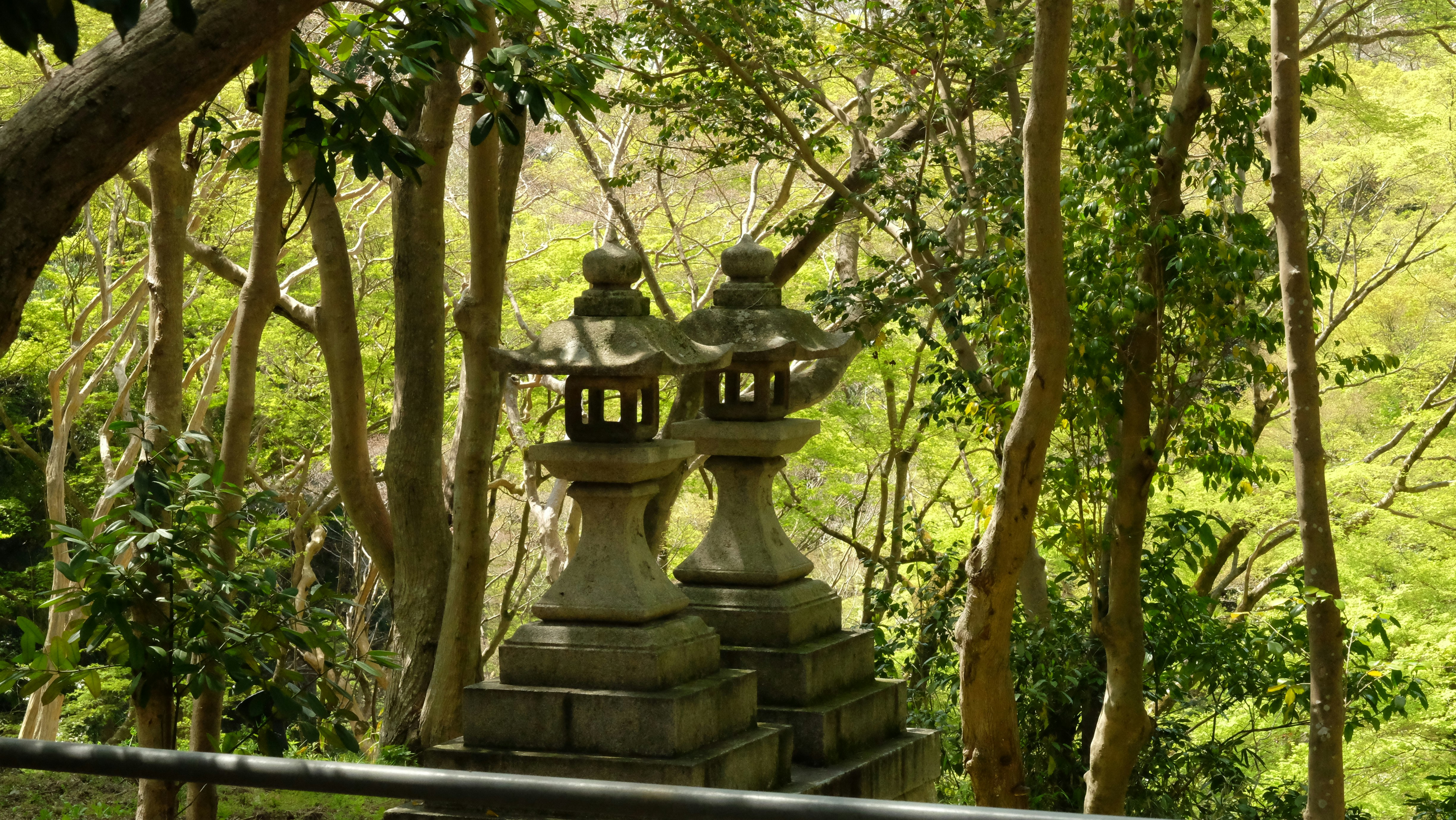 a couple of statues sitting in the middle of a forest, 