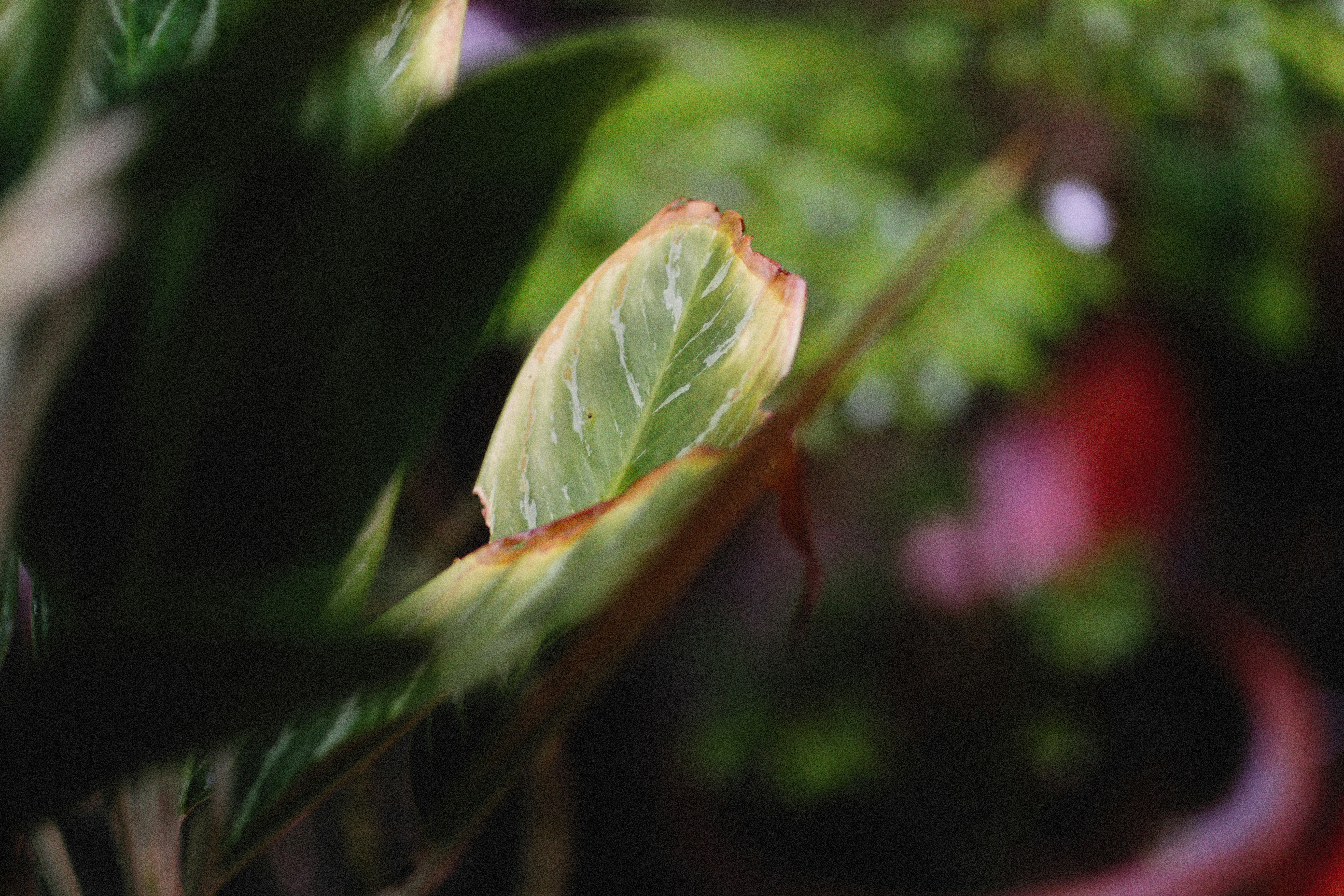 Photo by alexeydemidov