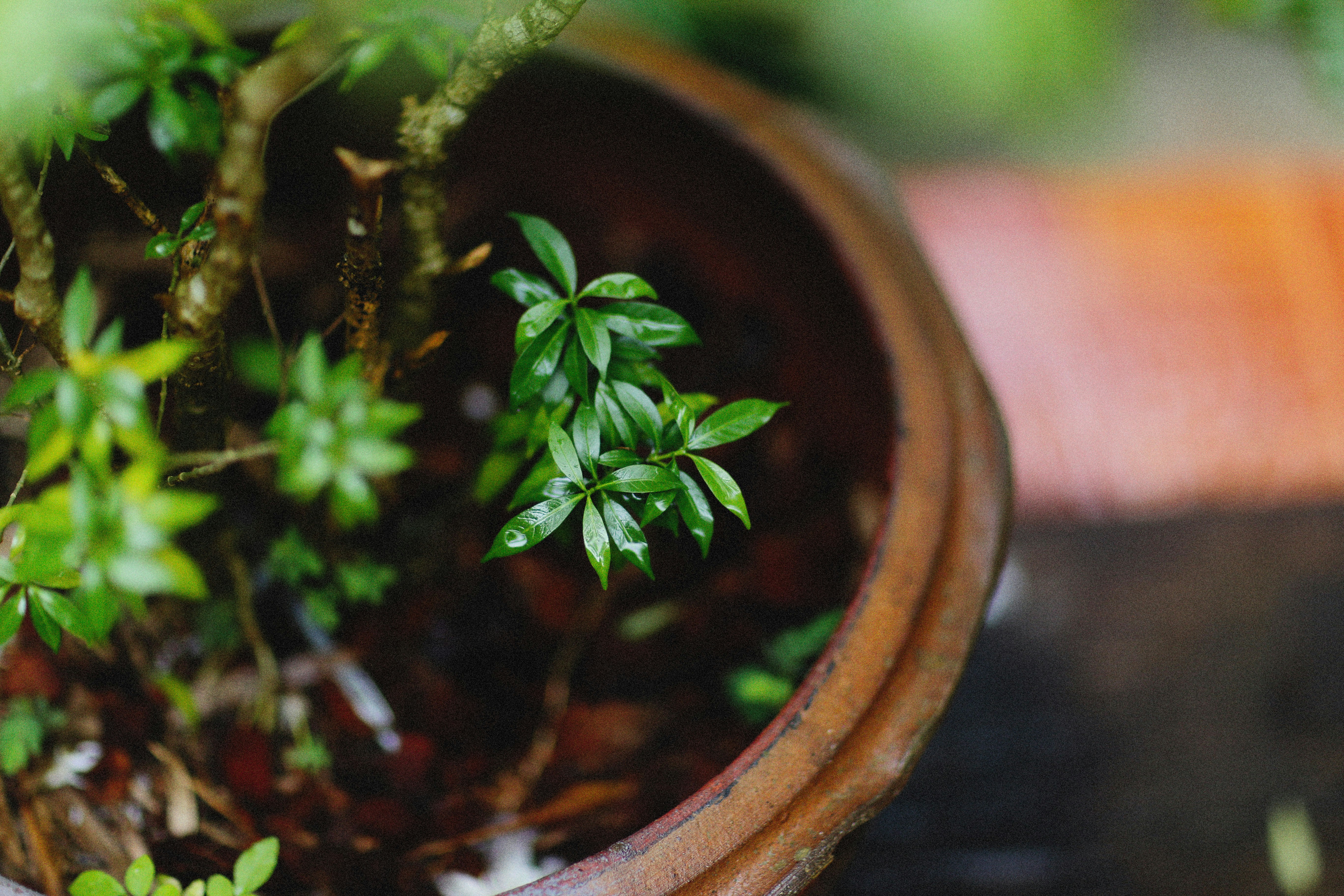 Photo by alexeydemidov