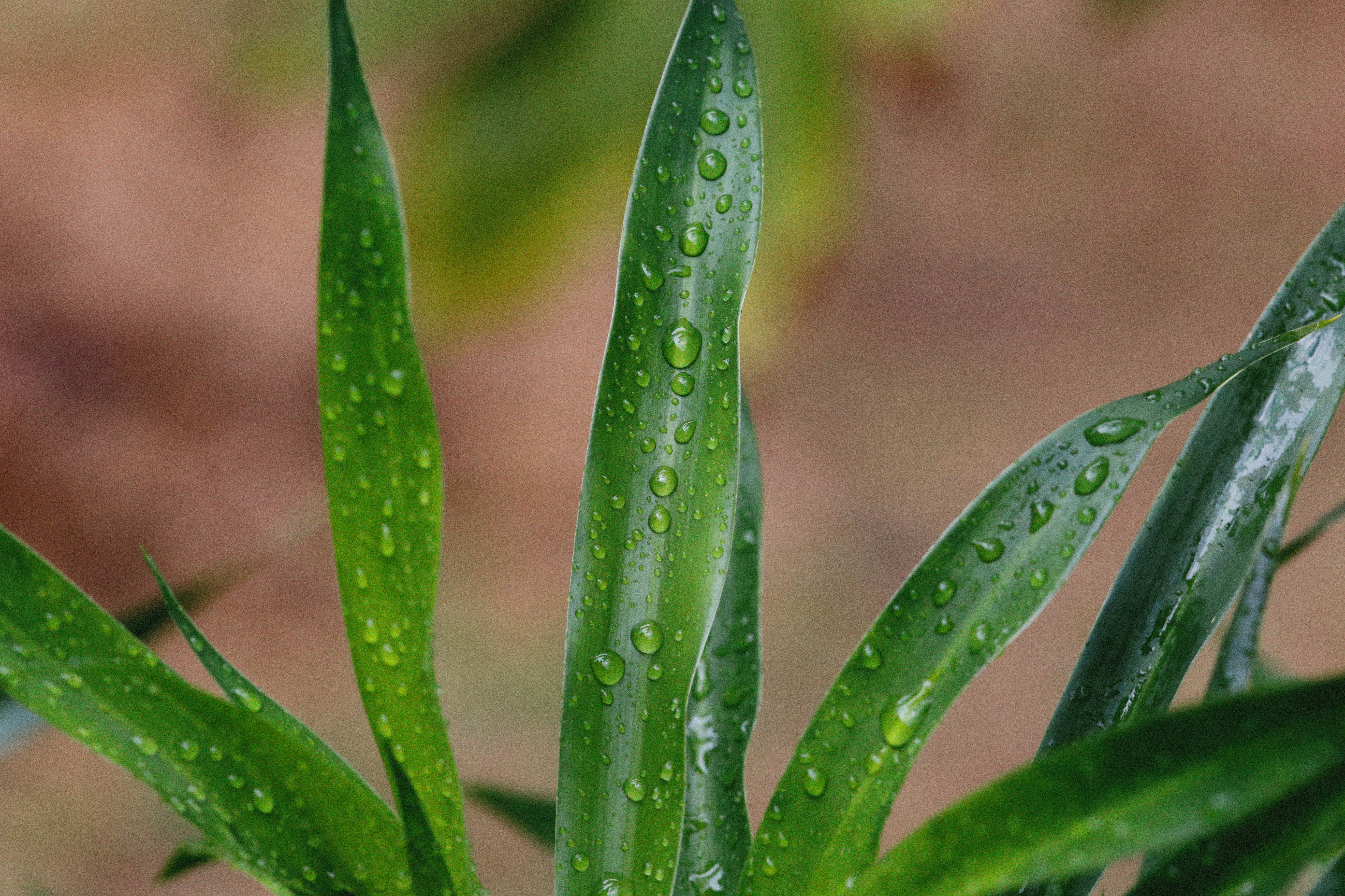 Photo by alexeydemidov