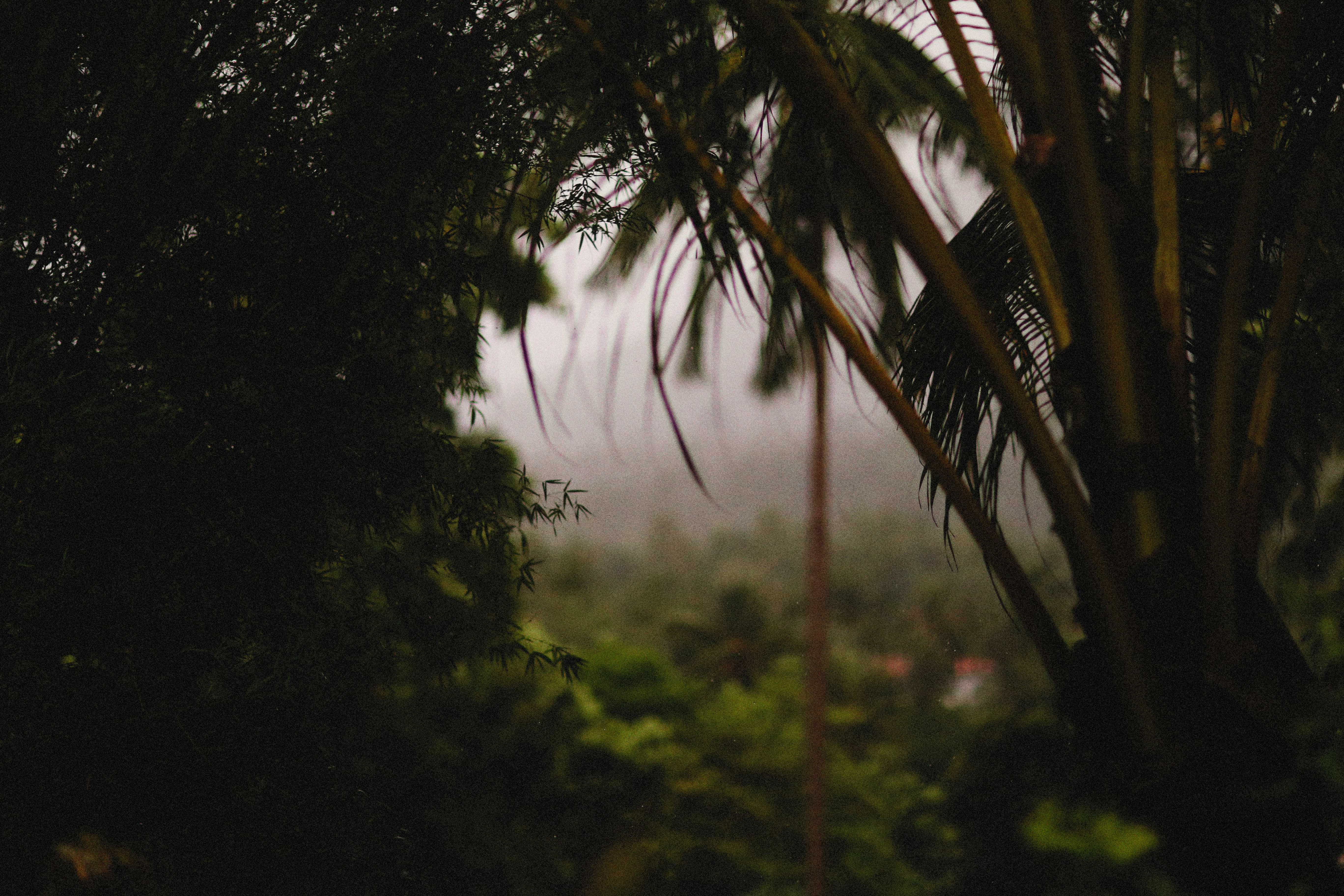 Photo by alexeydemidov