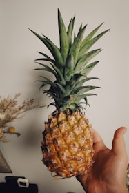 Close-up of a hand holding a juicy, golden pineapple freshly picked.