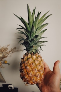 Close-up of a hand holding a juicy, golden pineapple freshly picked.
