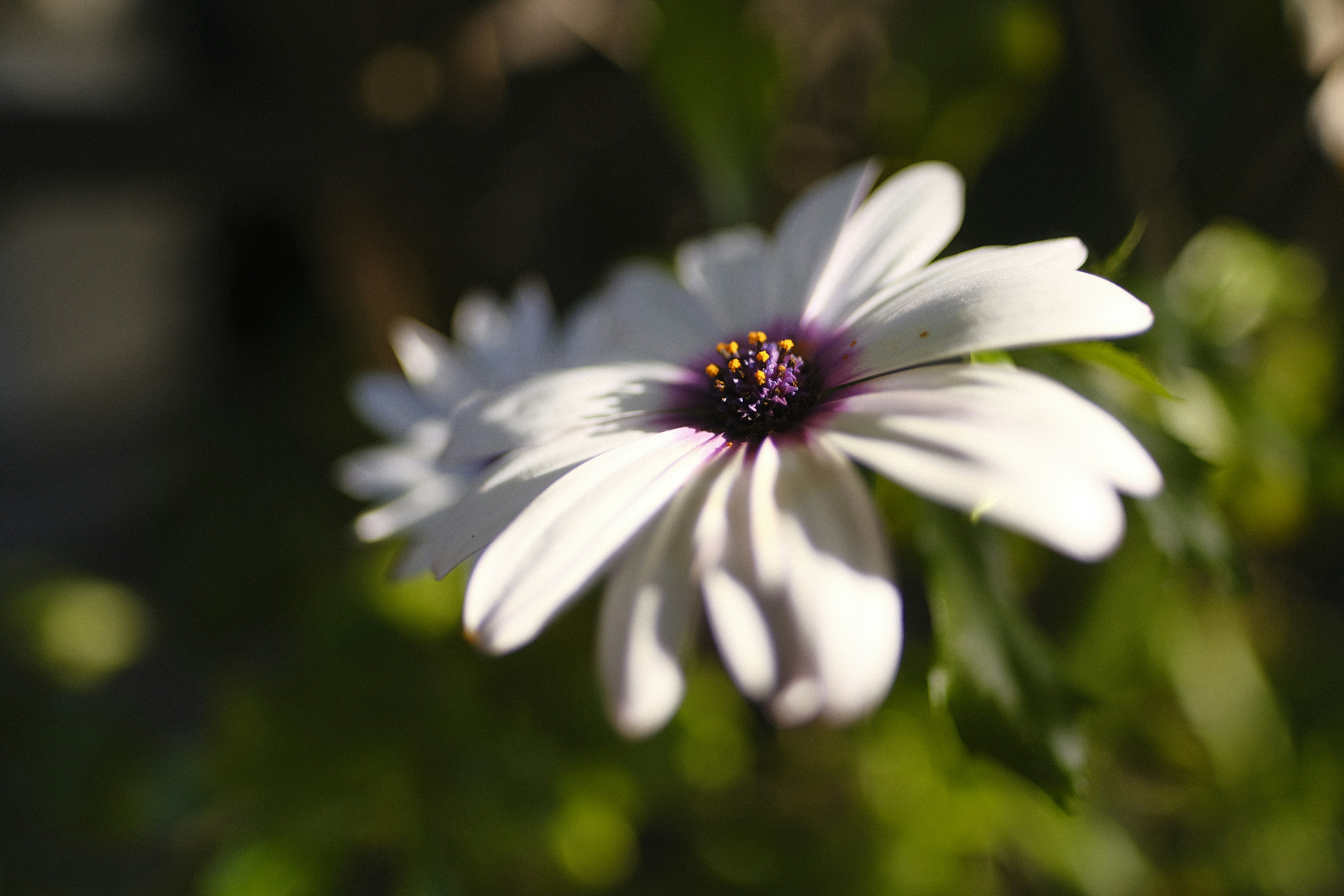 Photo by chandleraitchison