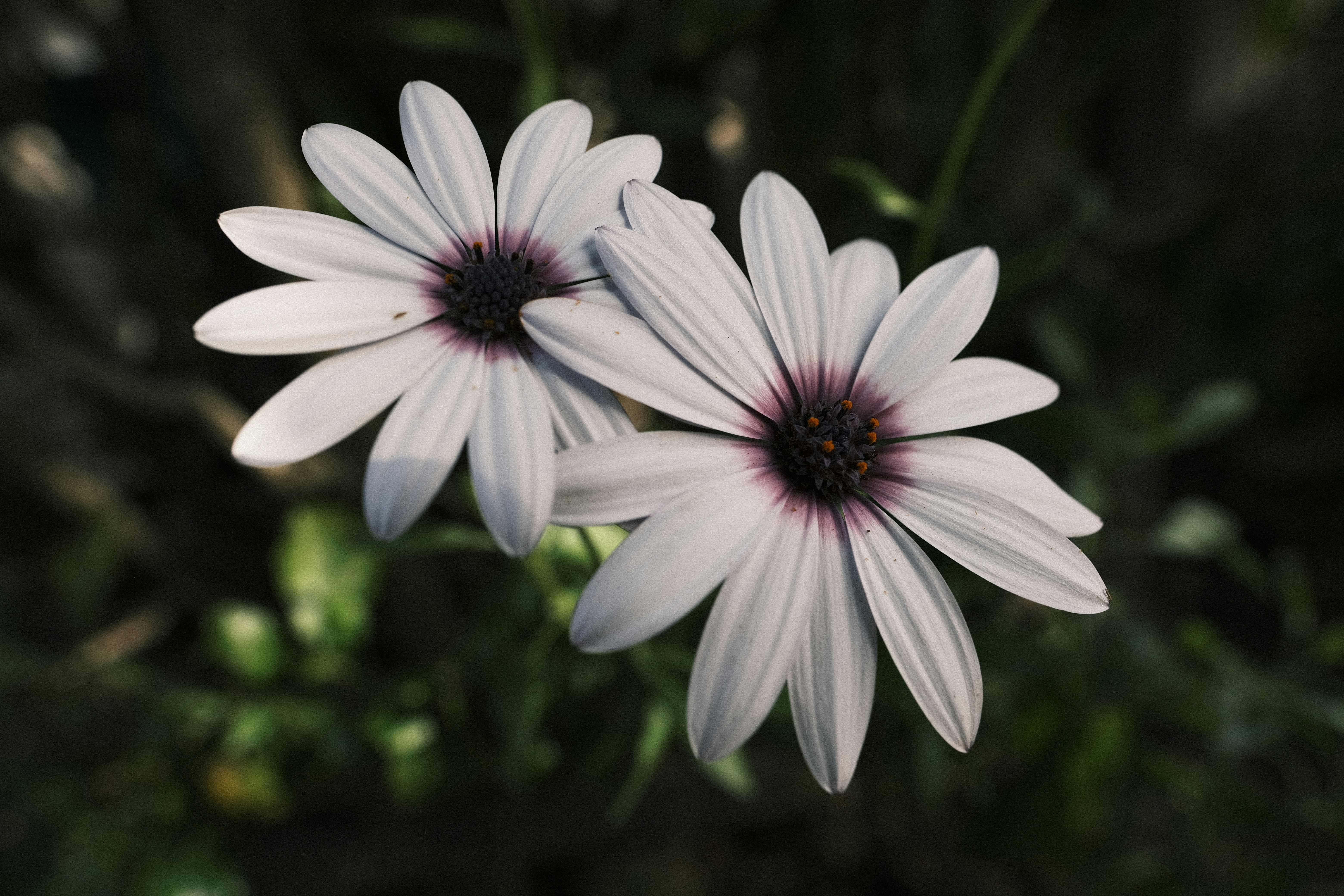 Photo by chandleraitchison