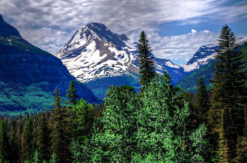 a view of a mountain range with trees in the foreground