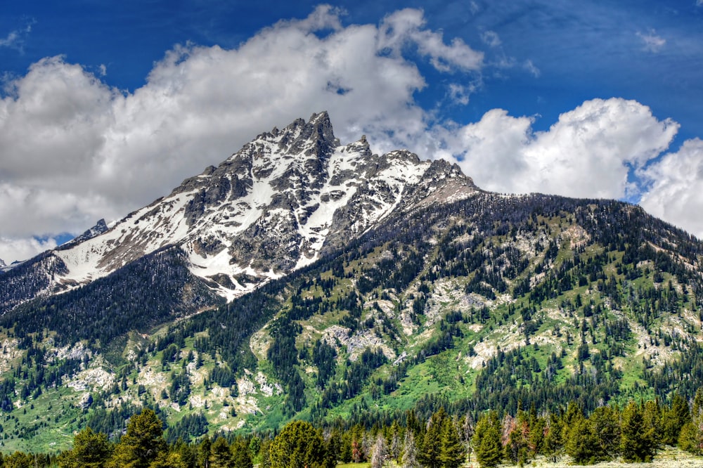 uma montanha coberta de neve com árvores em primeiro plano
