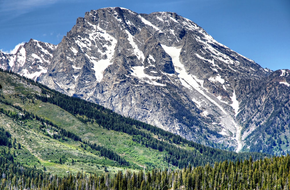 une grande montagne avec une forêt en dessous