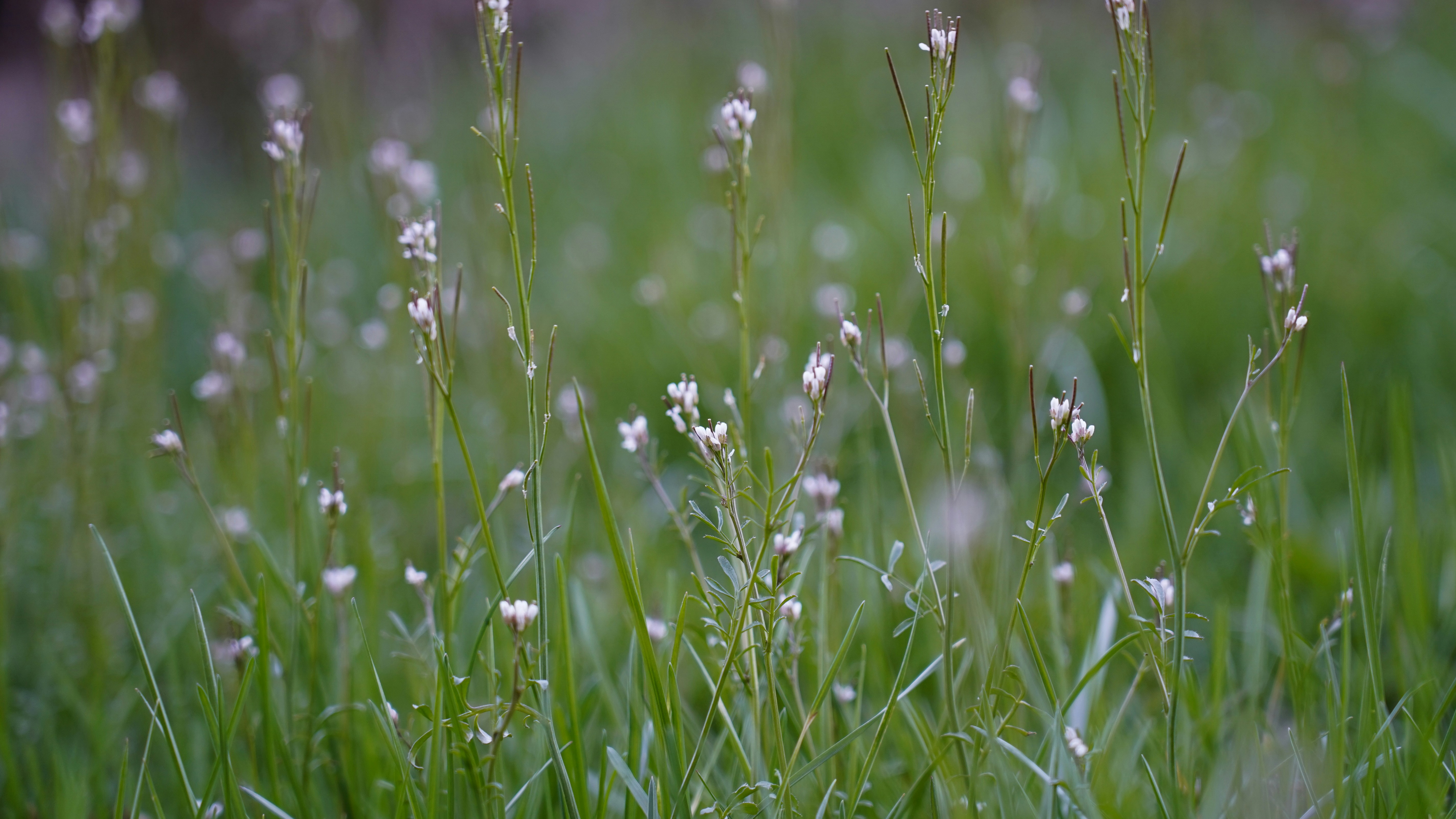 Photo by tang_shangbin