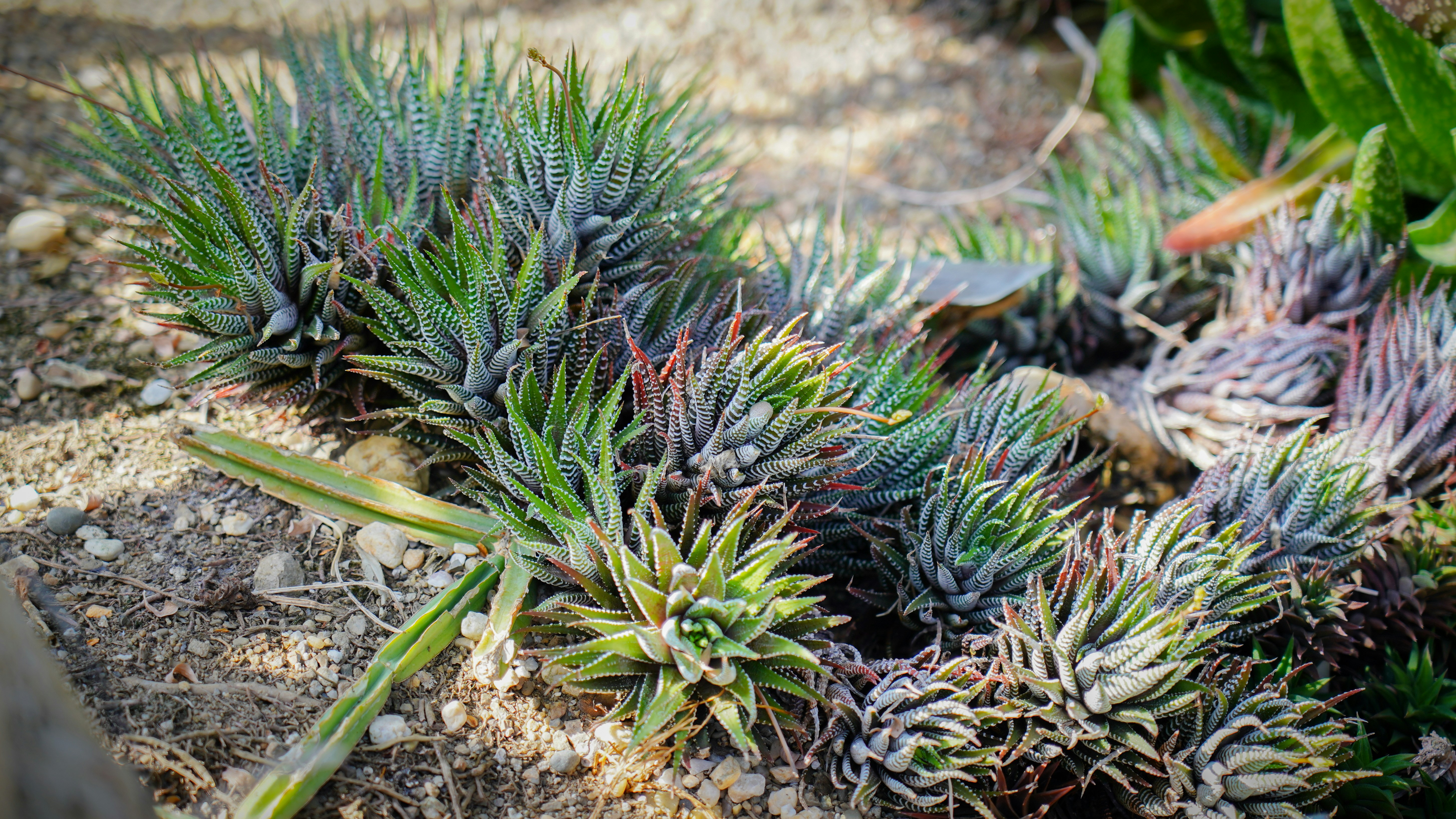 Photo by tang_shangbin