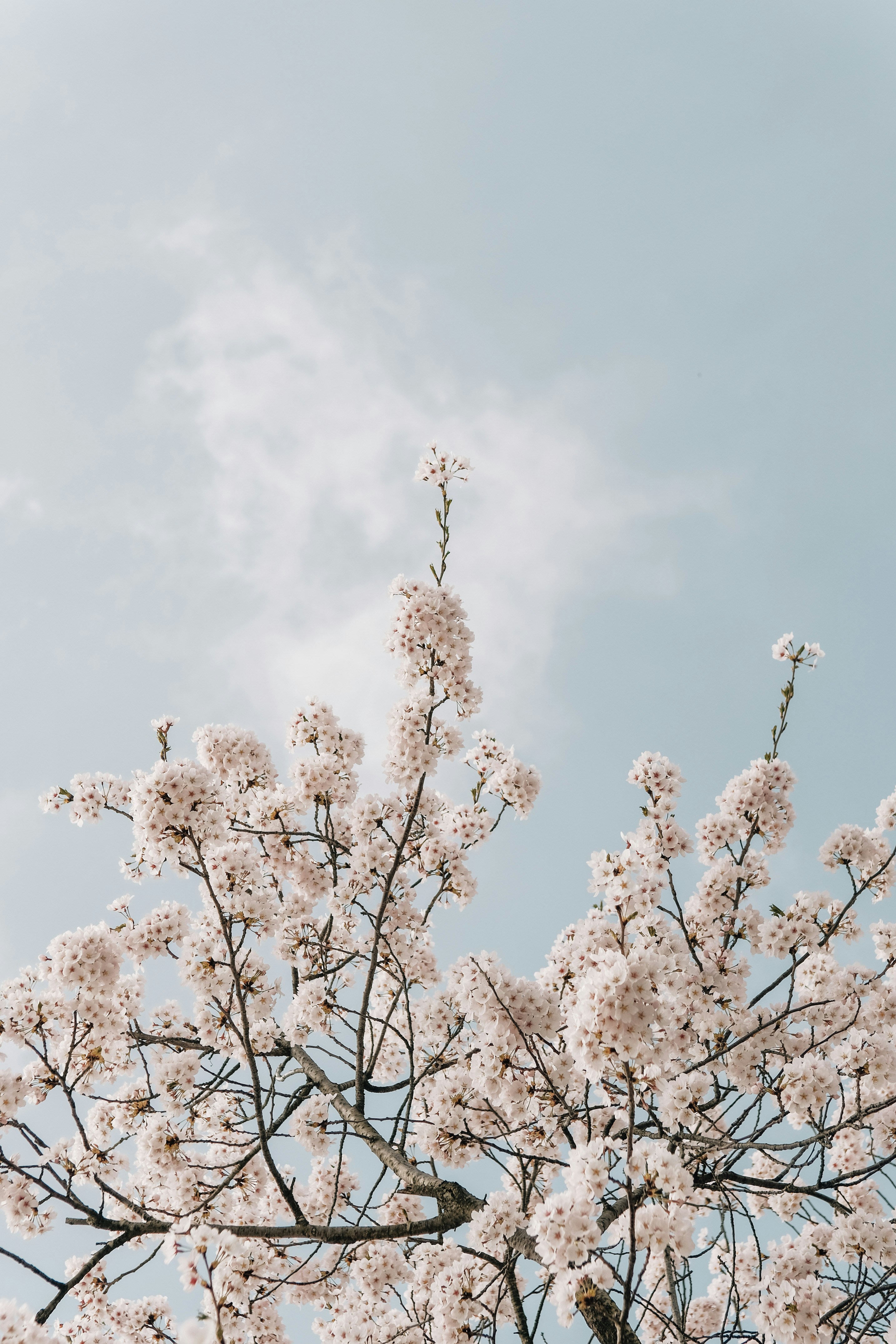 Photo by insungpandora