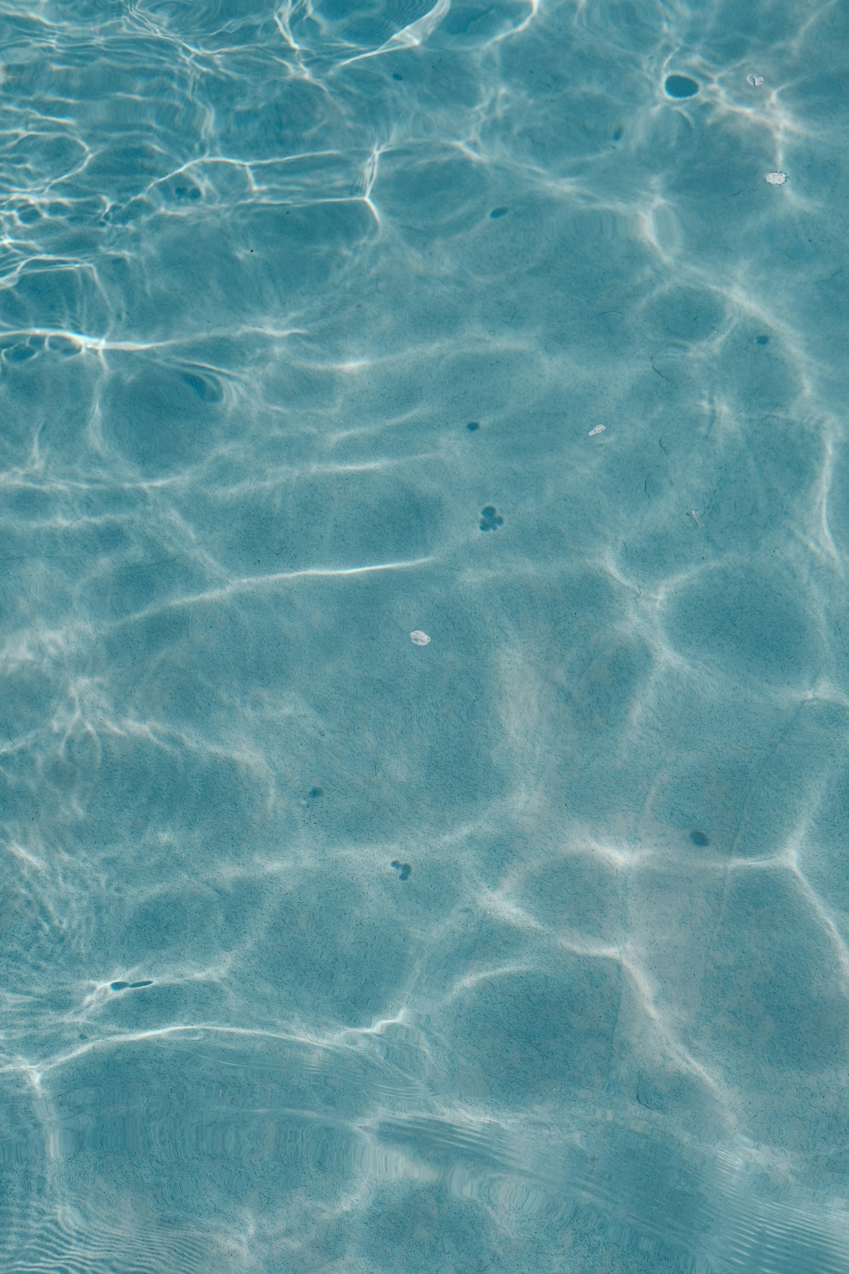 Photo by insungpandora