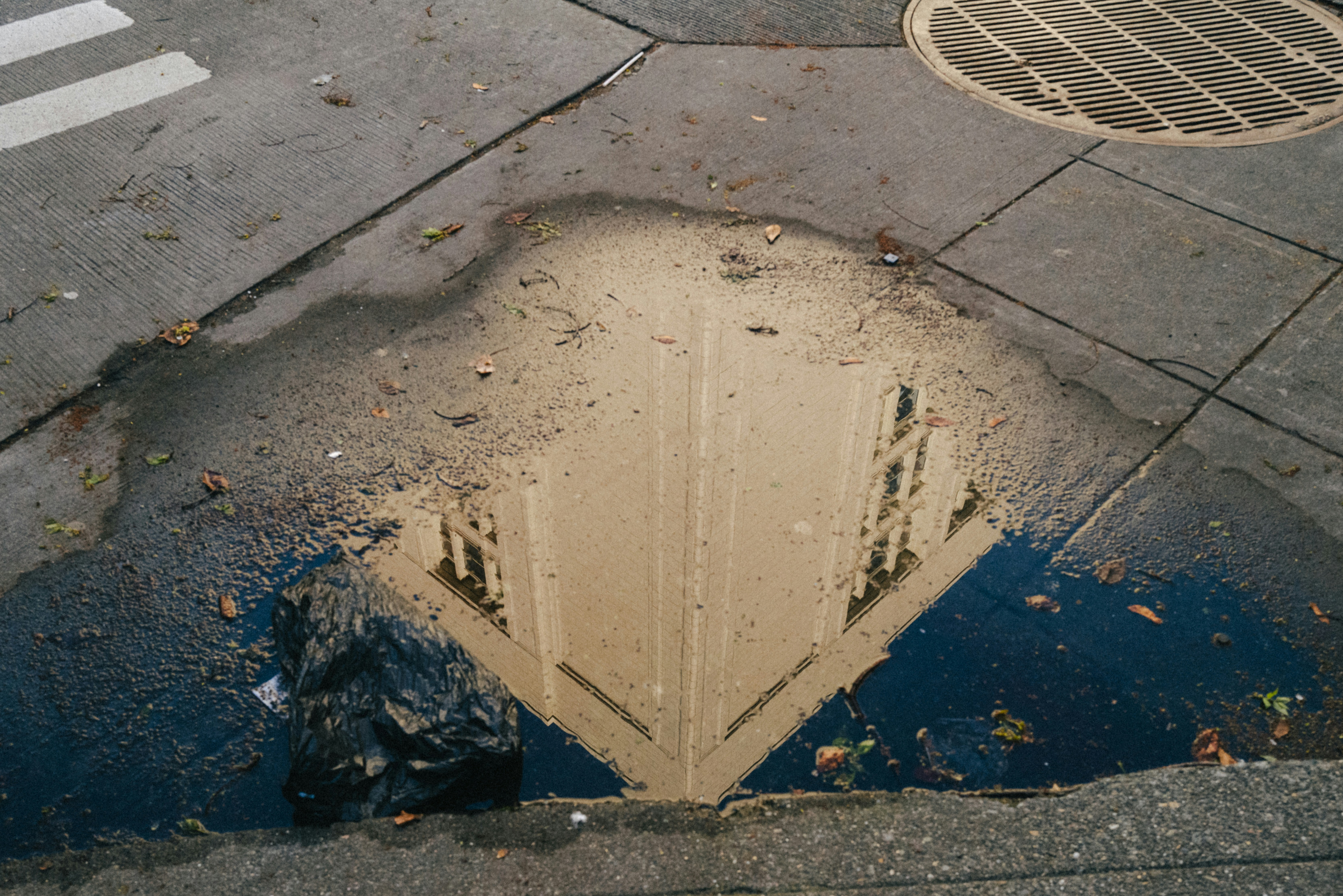 A puddle of water on a city street photo – Free Seattle Image on Unsplash