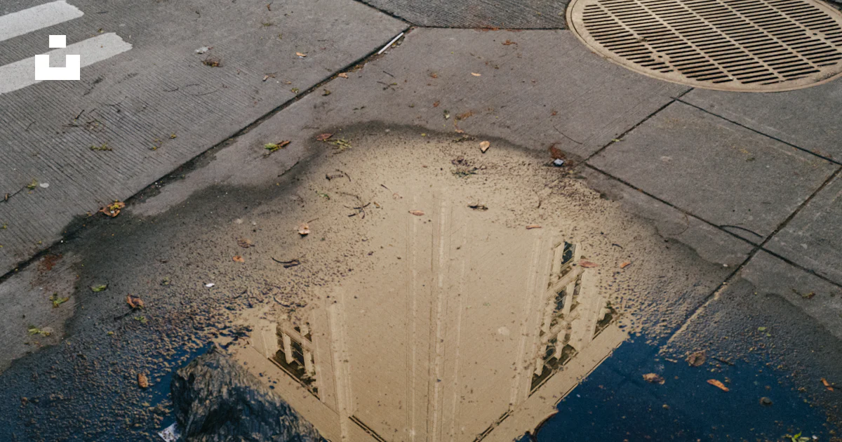 A puddle of water on a city street photo – Free Seattle Image on Unsplash