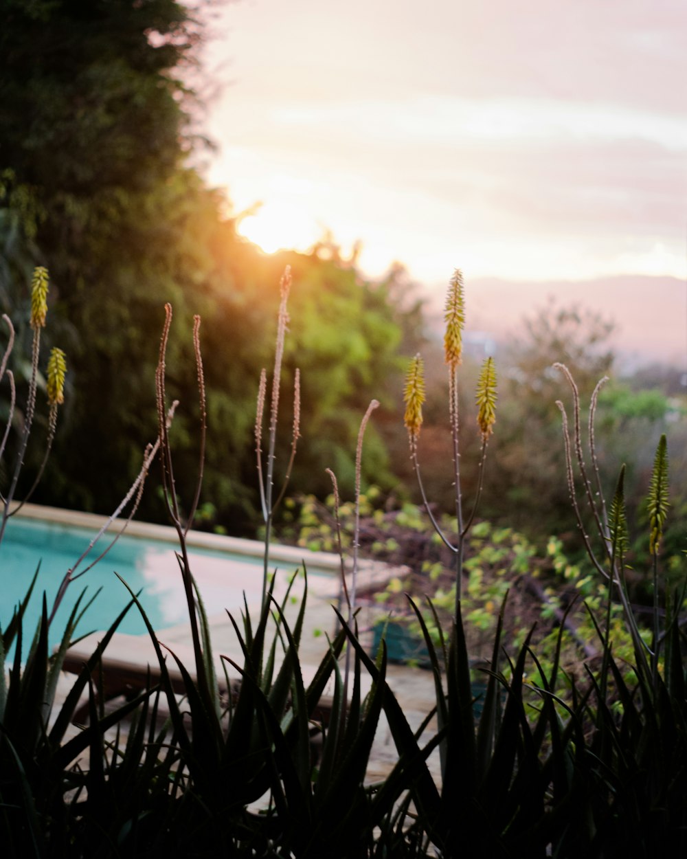 the sun is setting over a swimming pool