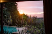 Sunset view of a beautifully landscaped backyard featuring drought-resistant plants and ambient lighting.
