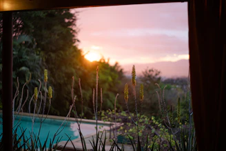 A serene private pool surrounded by tropical plants at sunset.