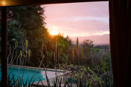 A serene private pool surrounded by tropical plants at sunset.