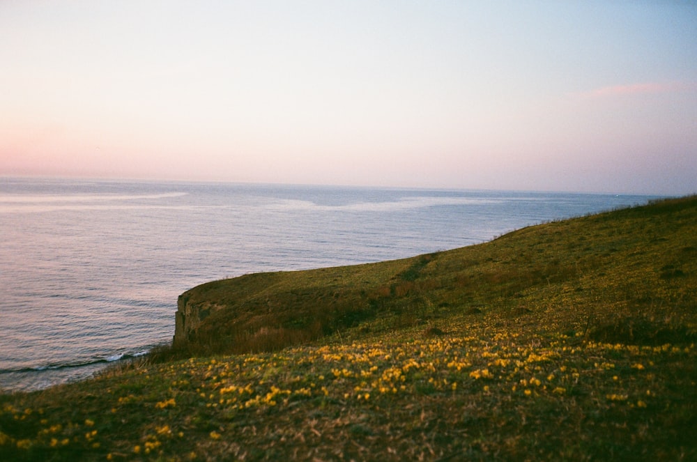 a grassy hill with a body of water in the background