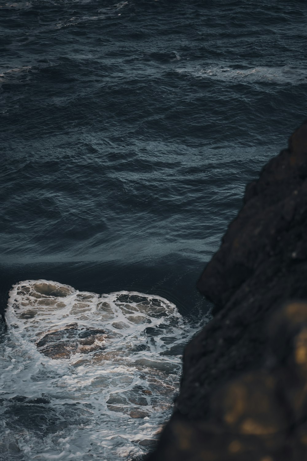 a bird sitting on a rock near the ocean