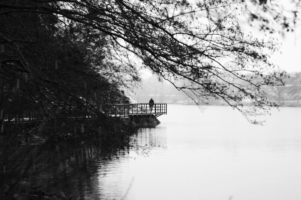 a person standing on a bridge over a body of water