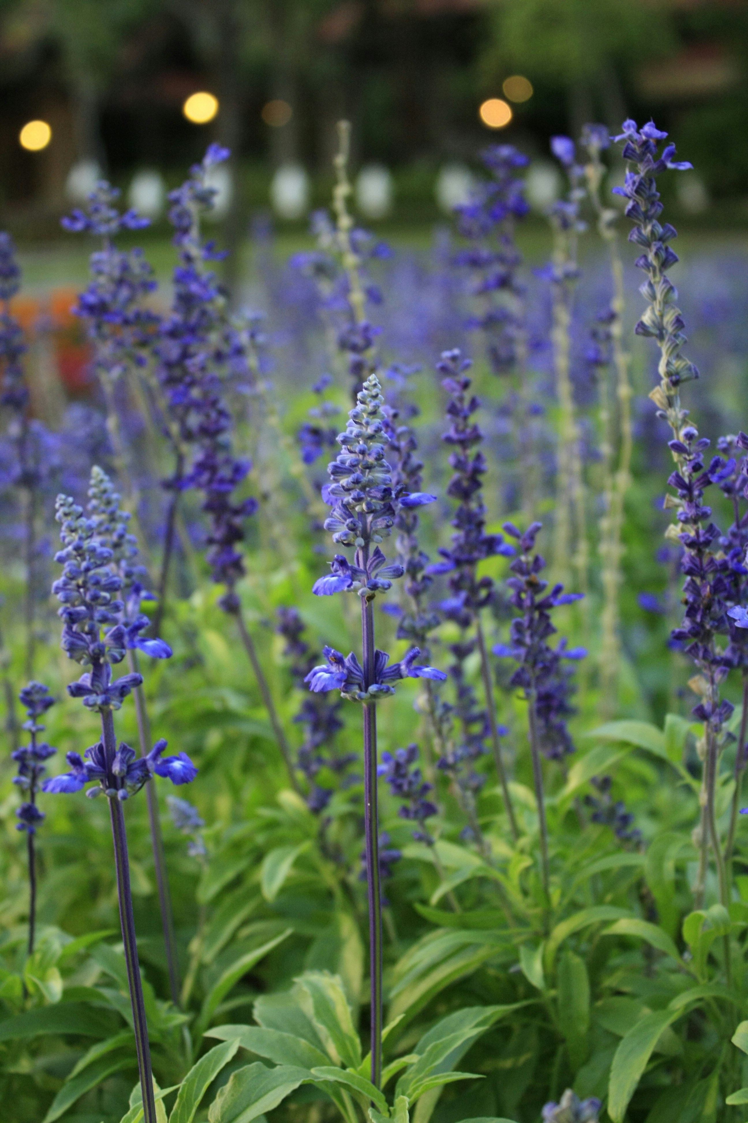 Photo by parkerpeace