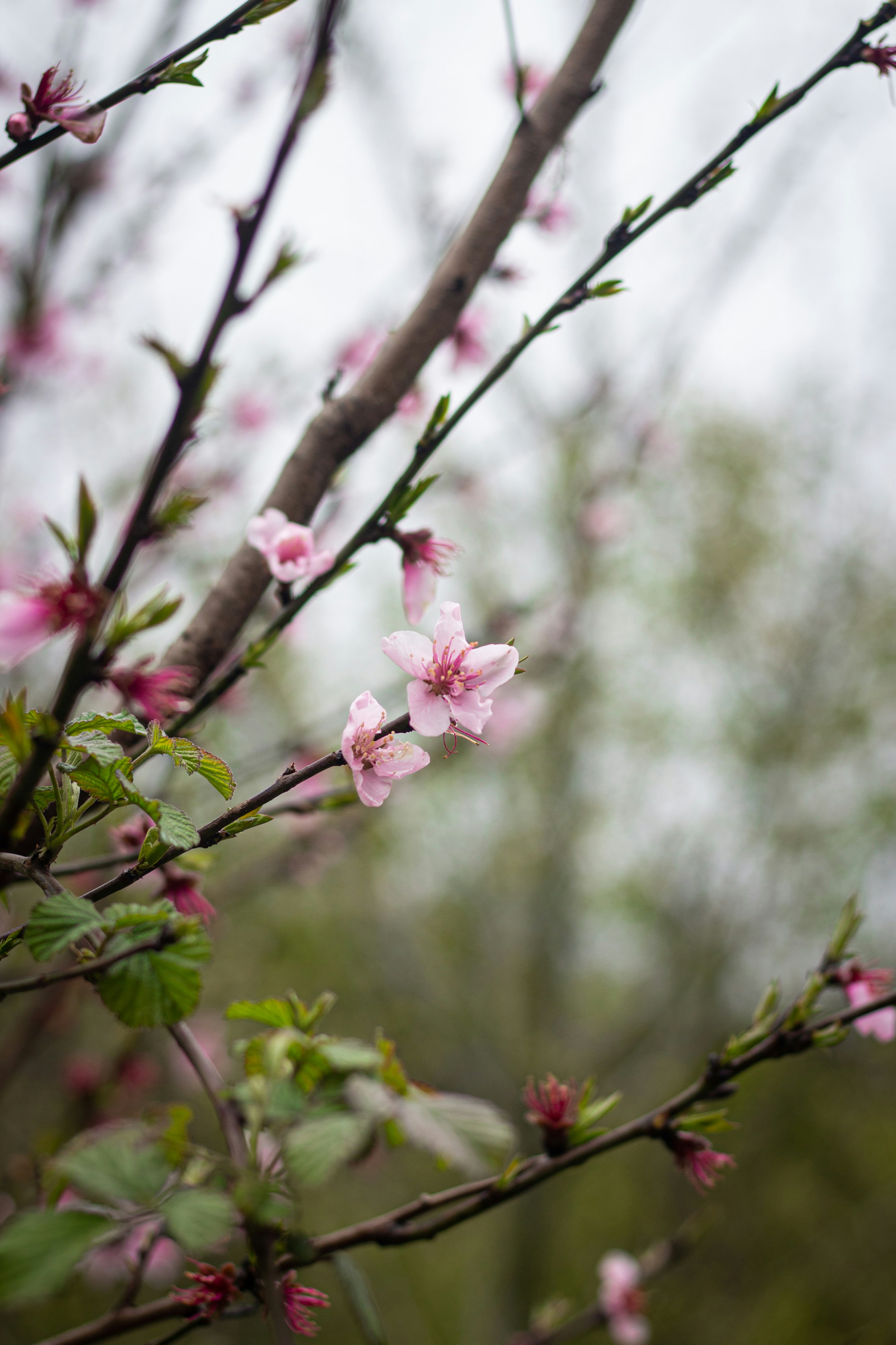 Photo by soroushzargar