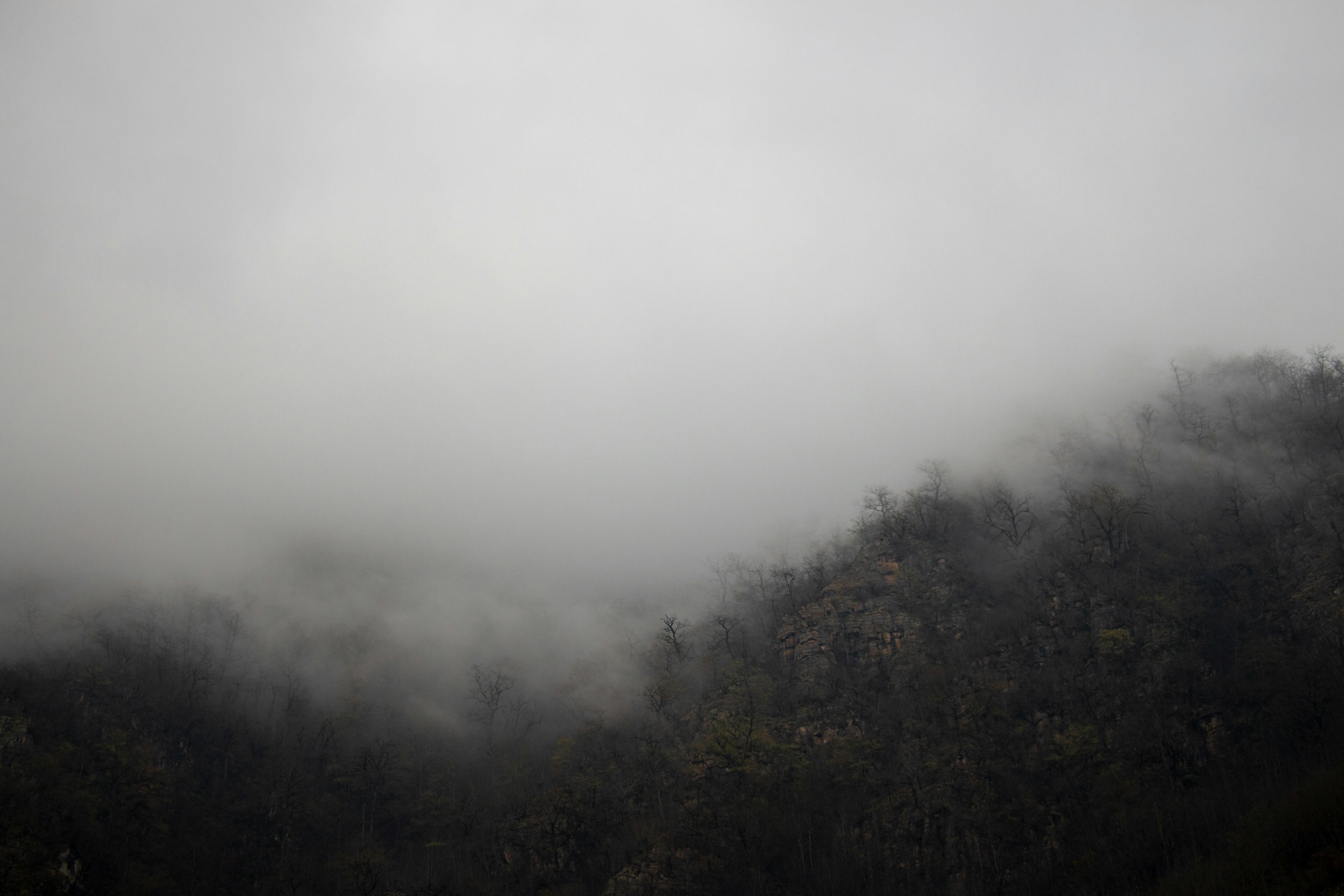 Photo by soroushzargar