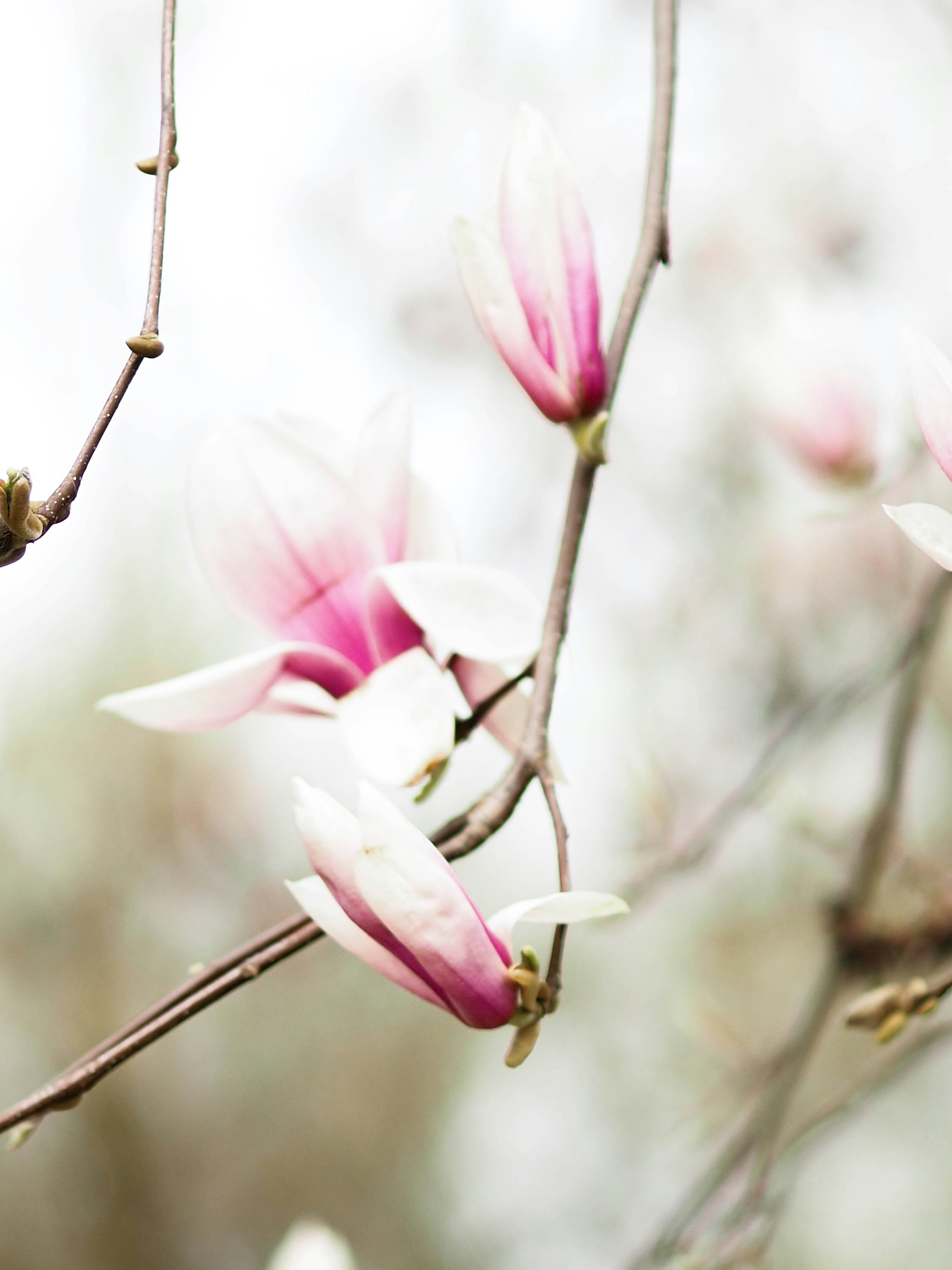 Photo by anna_c_wilhelm