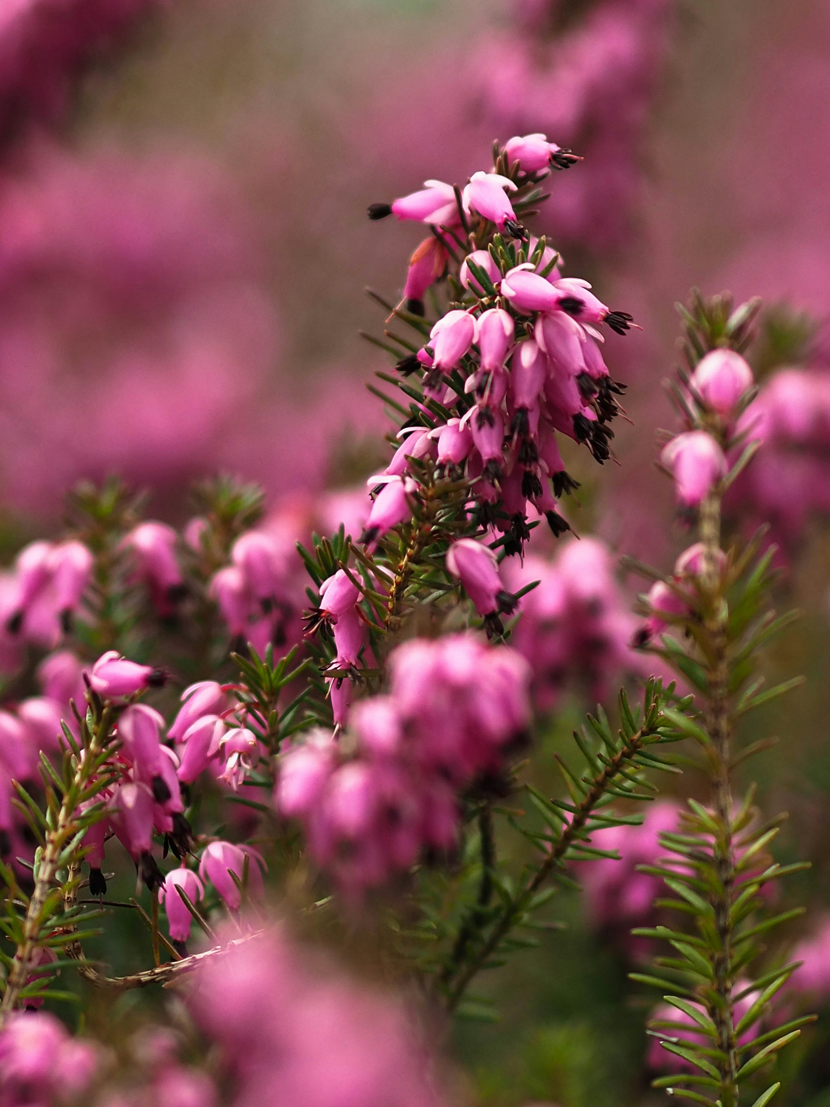 Photo by anna_c_wilhelm