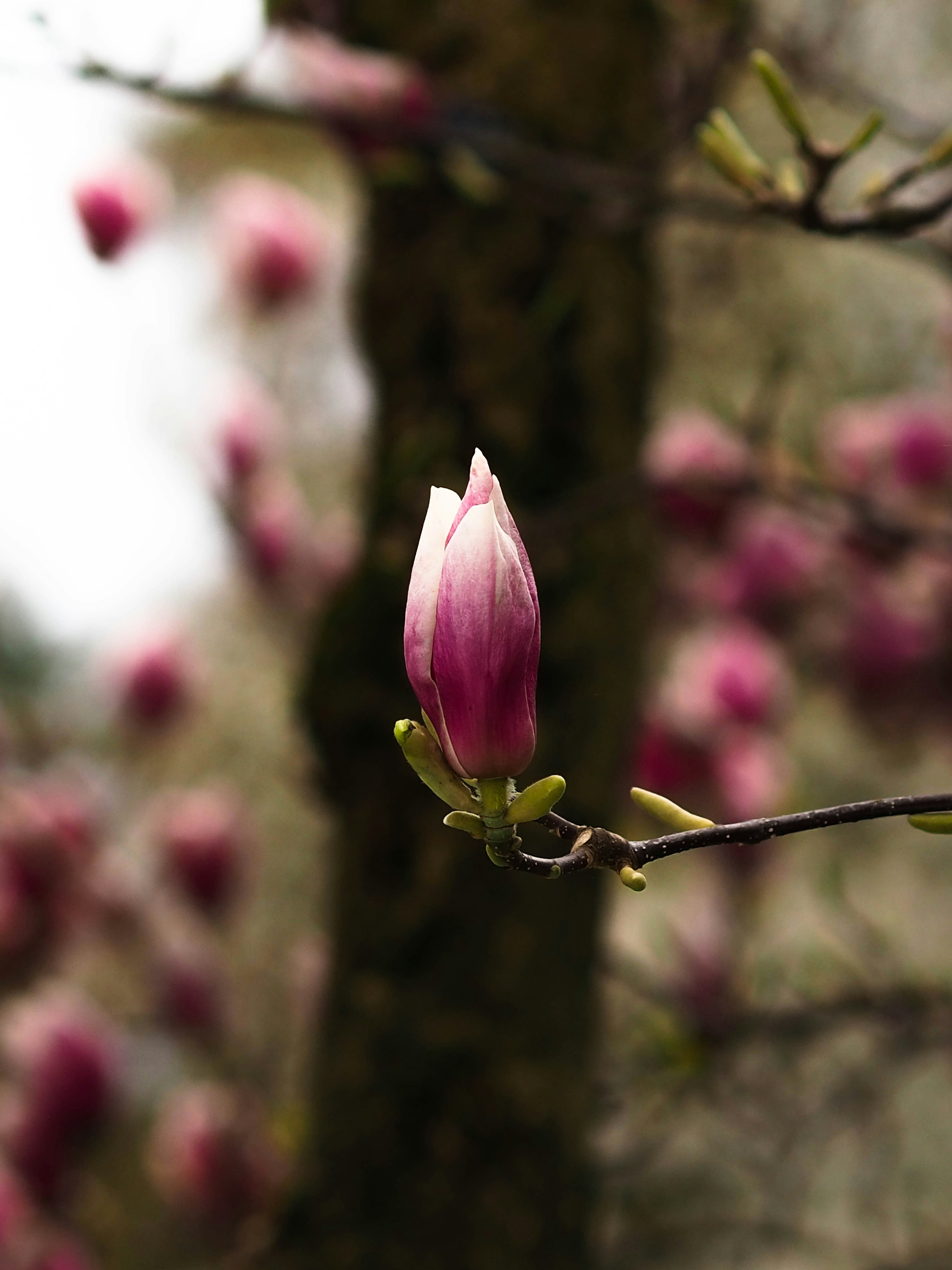 Photo by anna_c_wilhelm