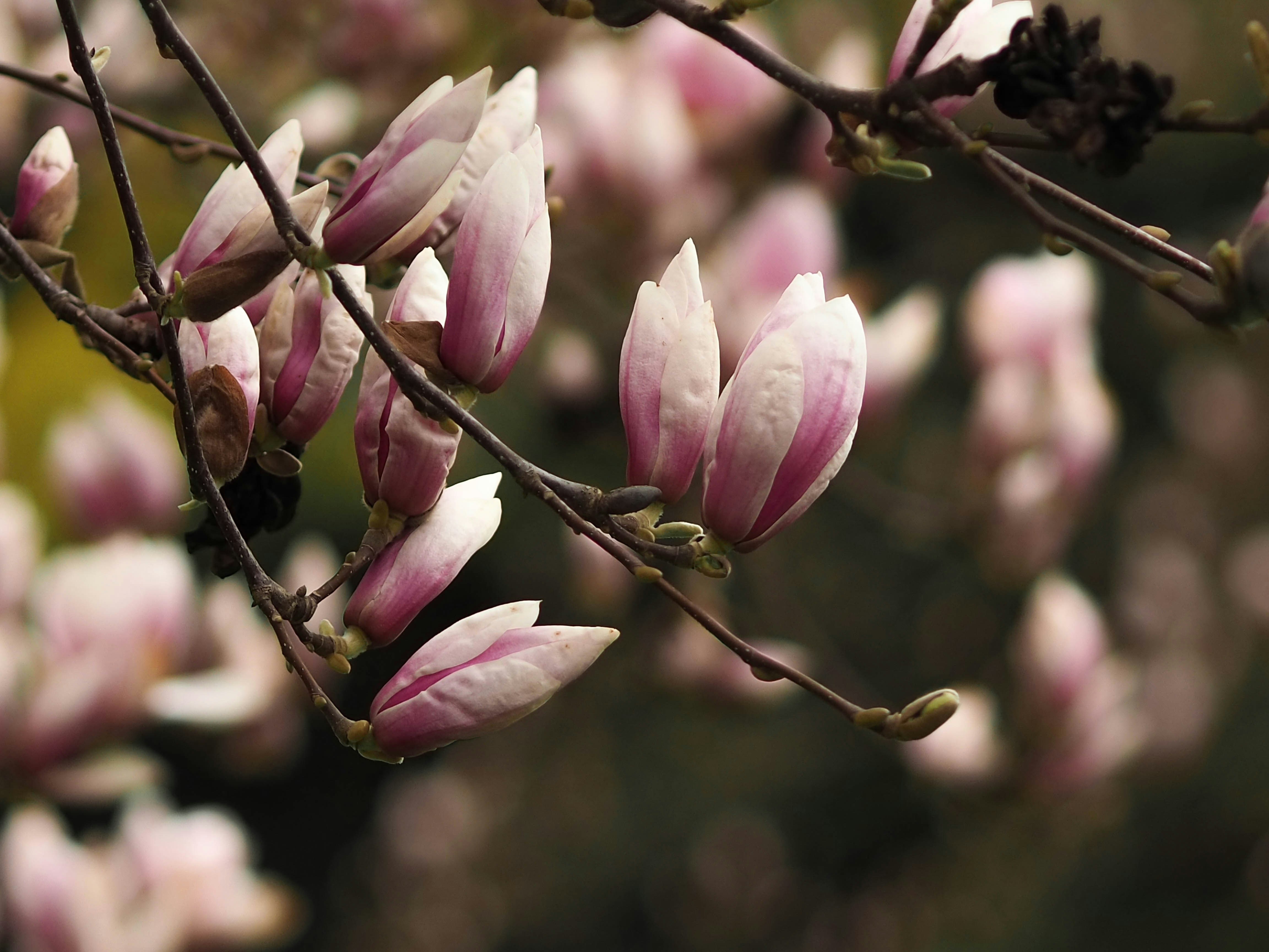 Photo by anna_c_wilhelm