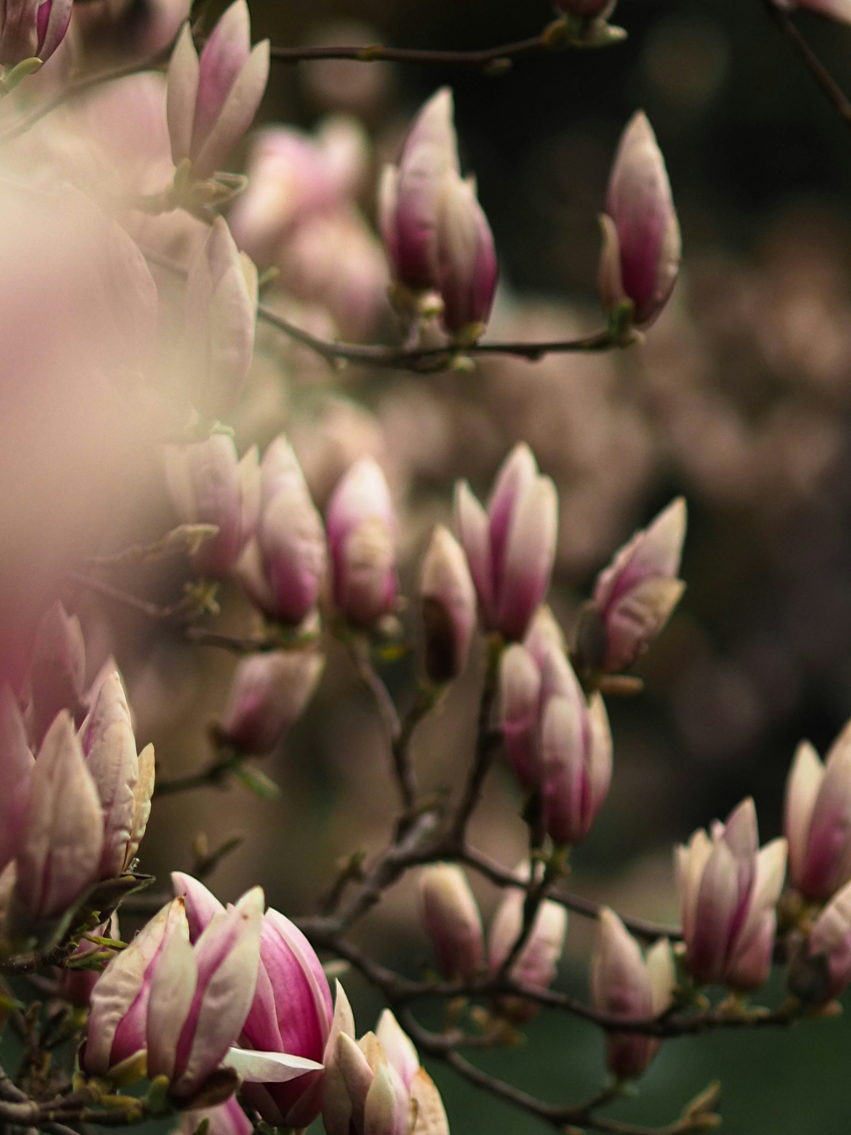 Photo by anna_c_wilhelm