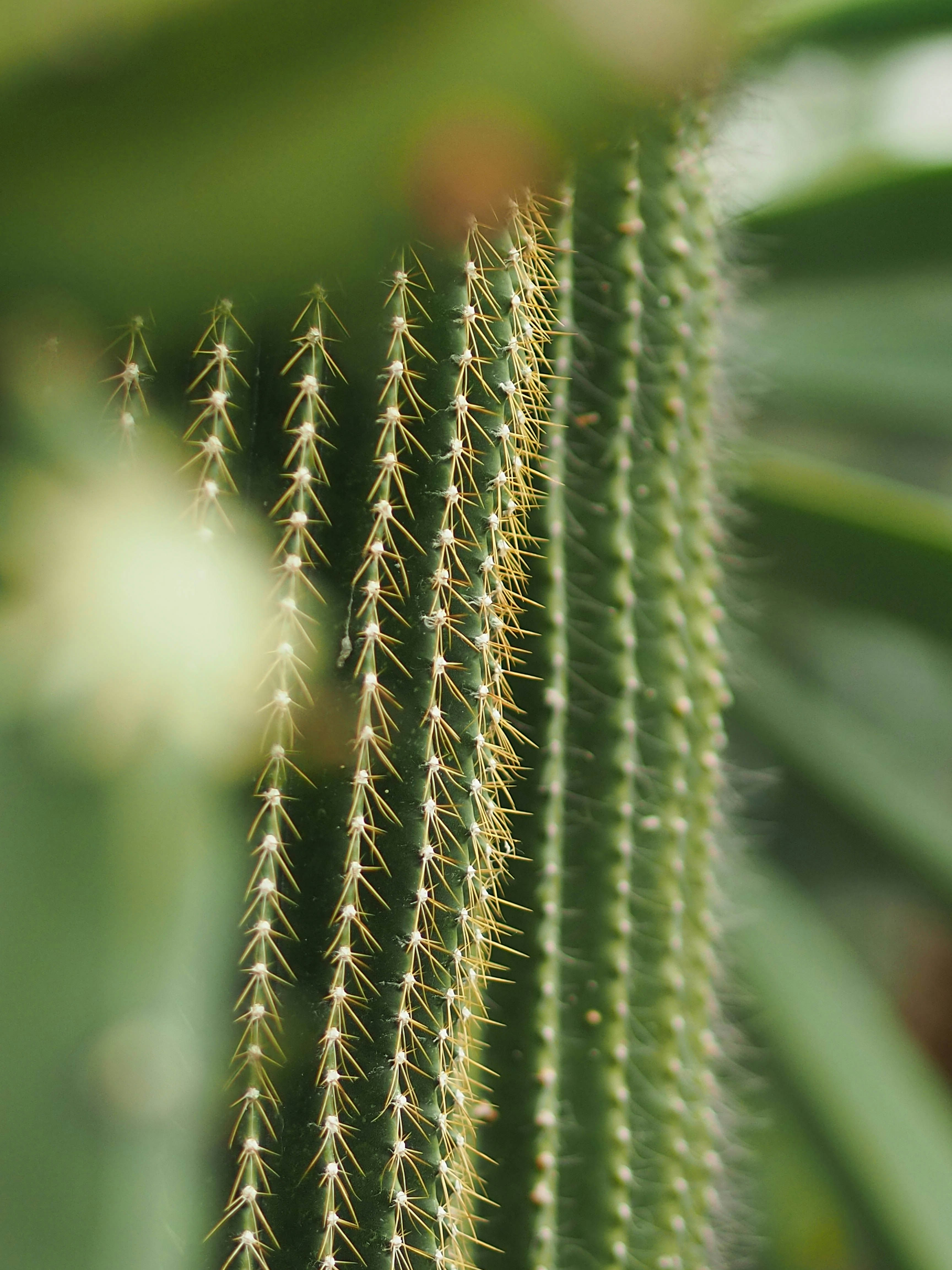 Photo by anna_c_wilhelm