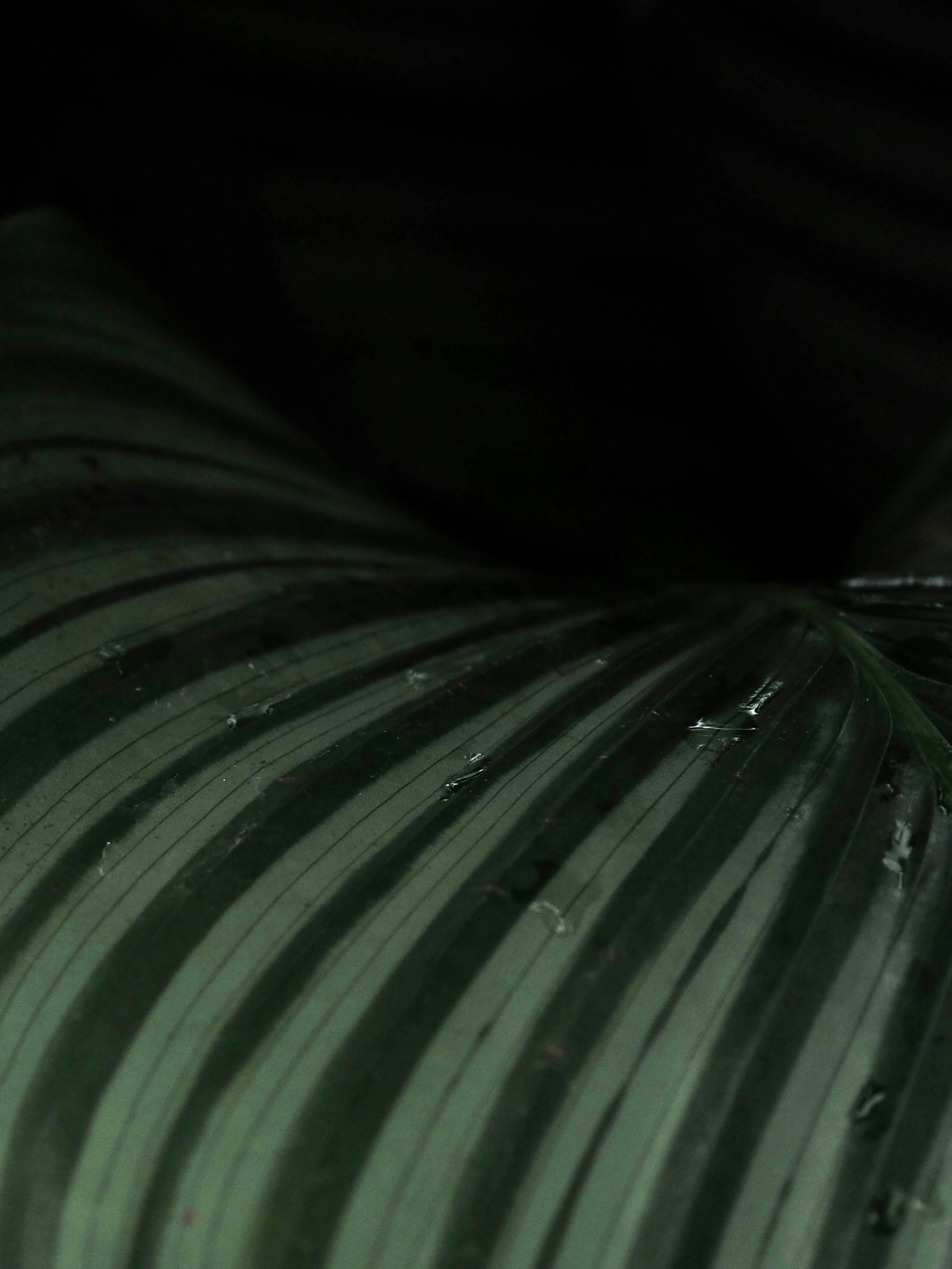 Photo by anna_c_wilhelm