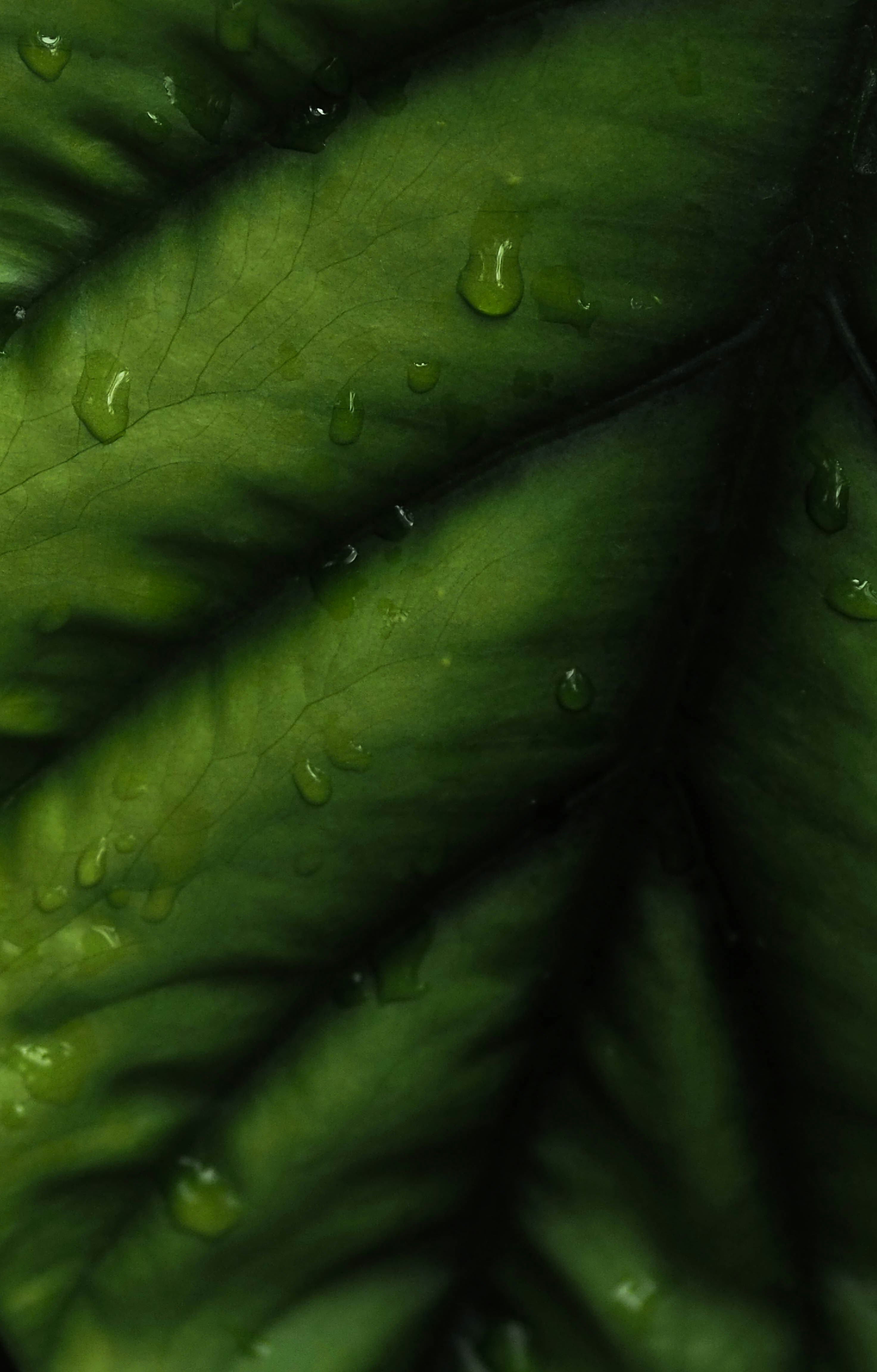 Photo by anna_c_wilhelm