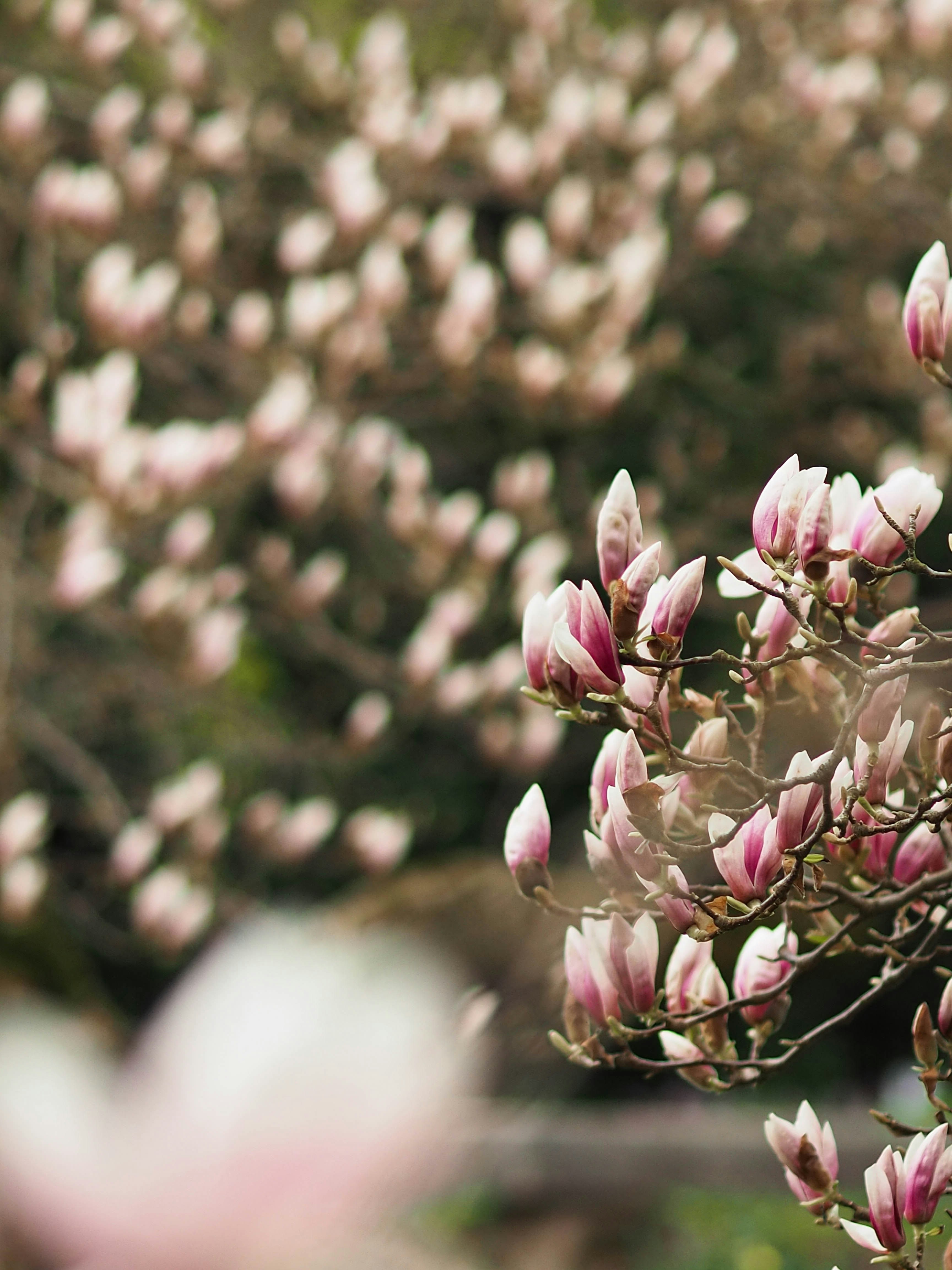 Photo by anna_c_wilhelm