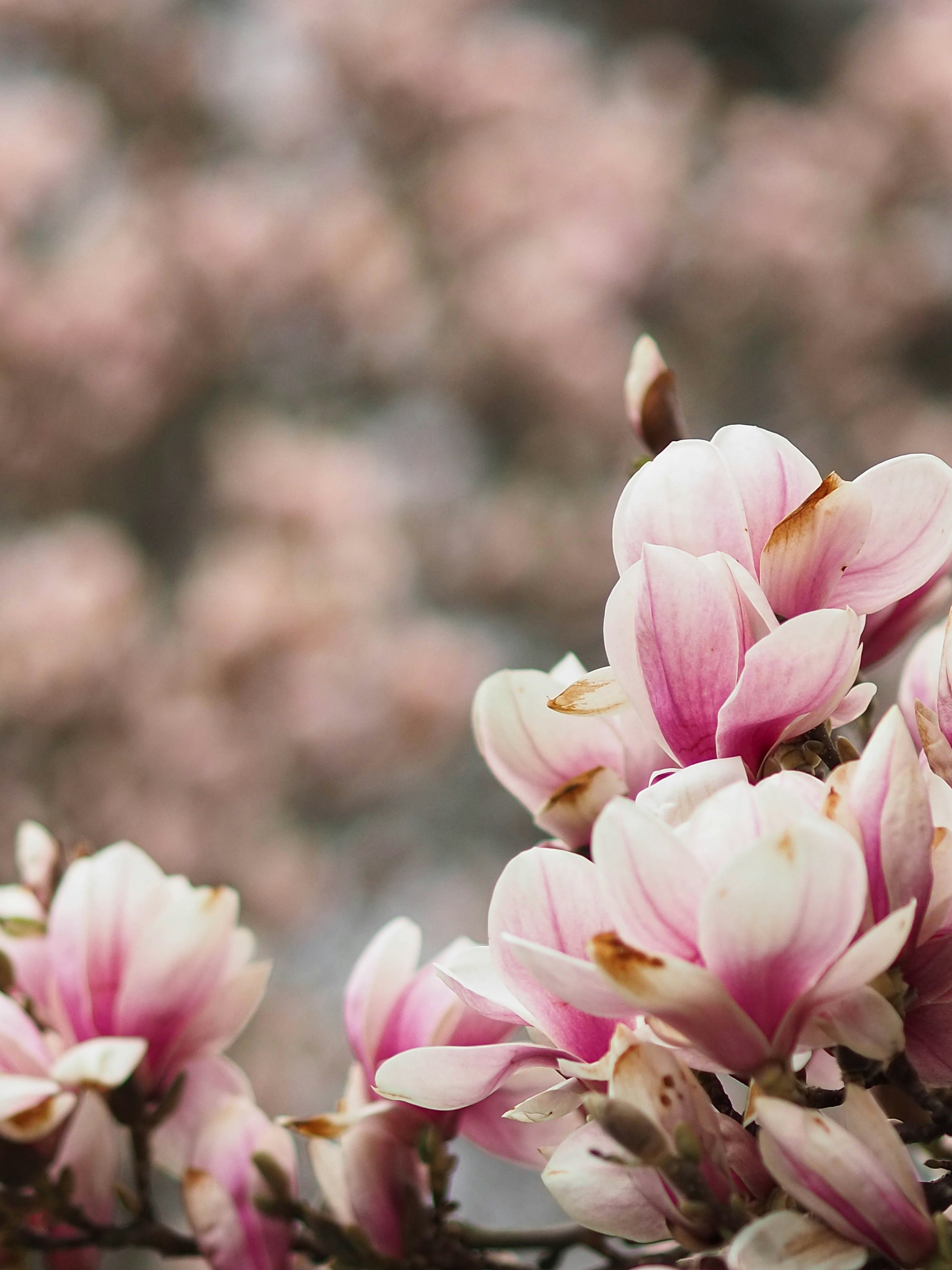 Photo by anna_c_wilhelm