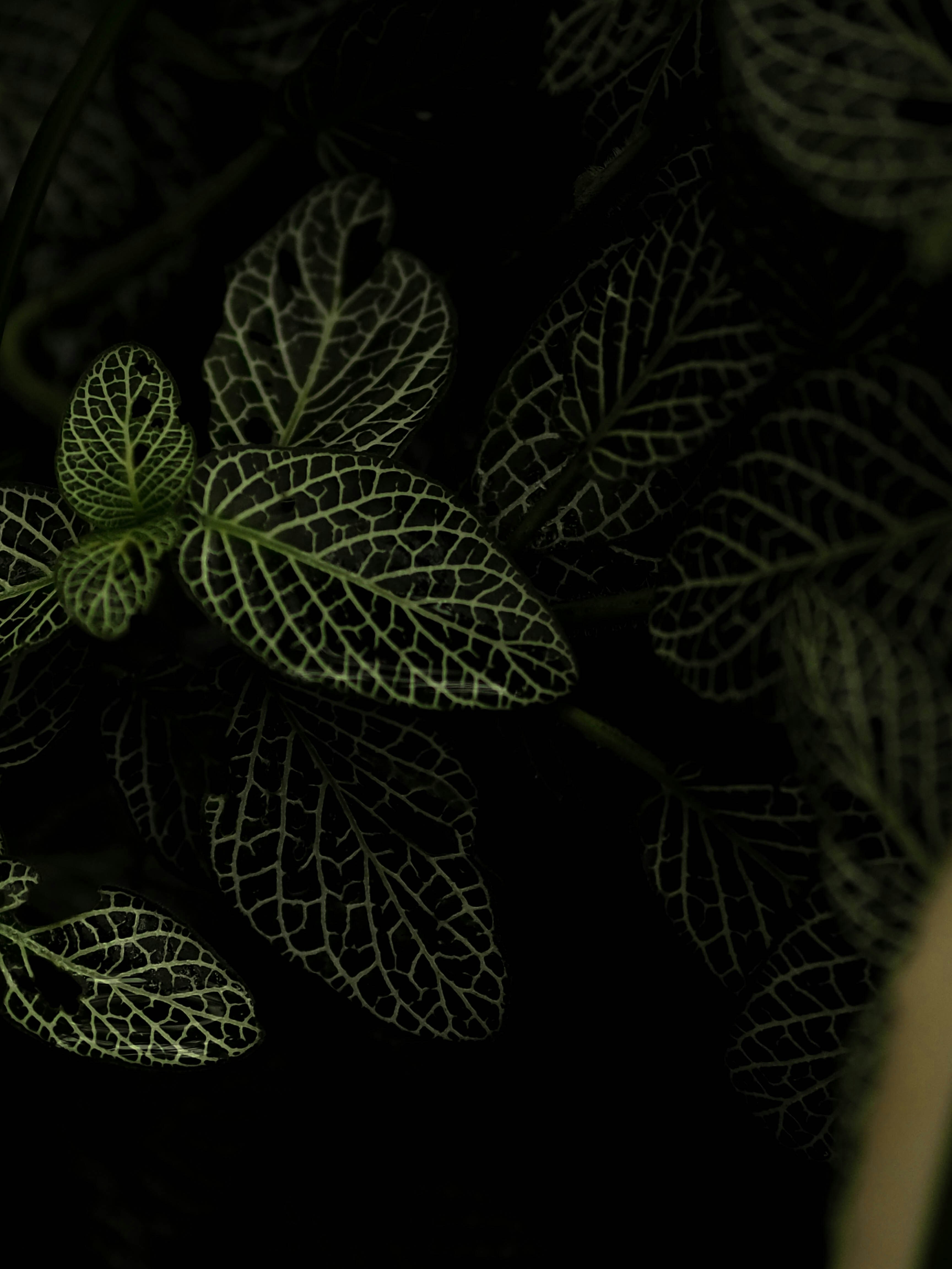 Photo by anna_c_wilhelm