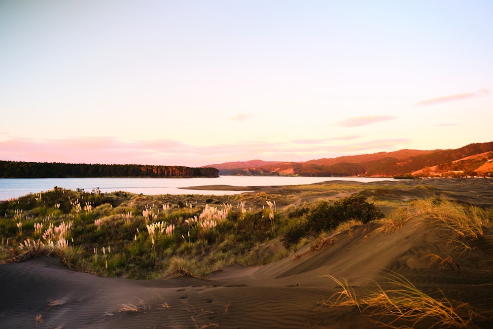 a lake surrounded by sand dunes and trees