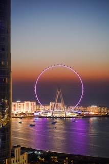a ferris wheel in the middle of a large body of water